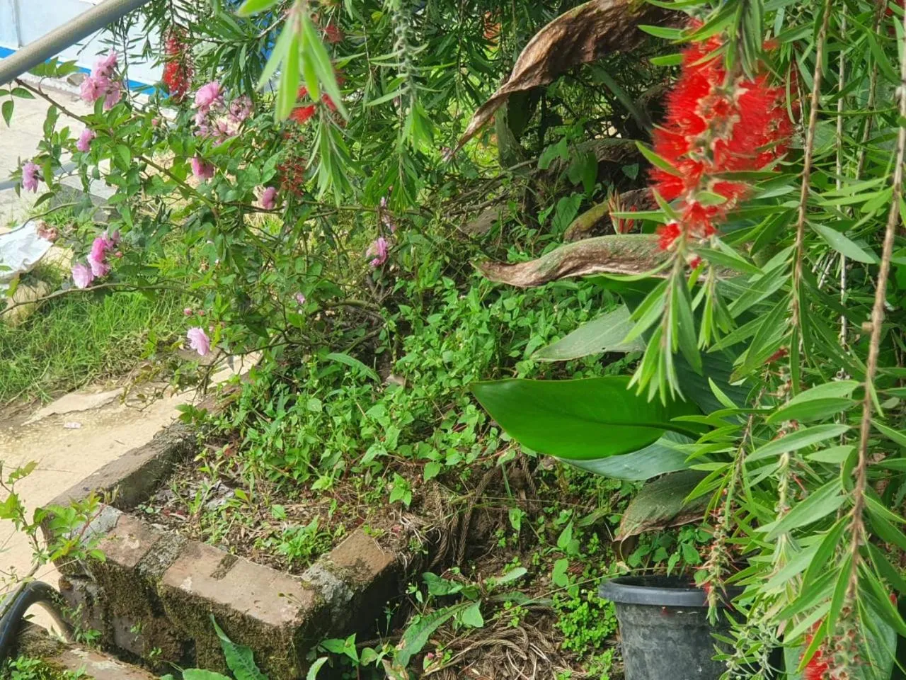 4REST INN PRIVATE LIMITED