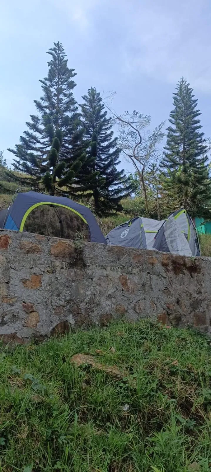 Day in 4REST INN PRIVATE LIMITED