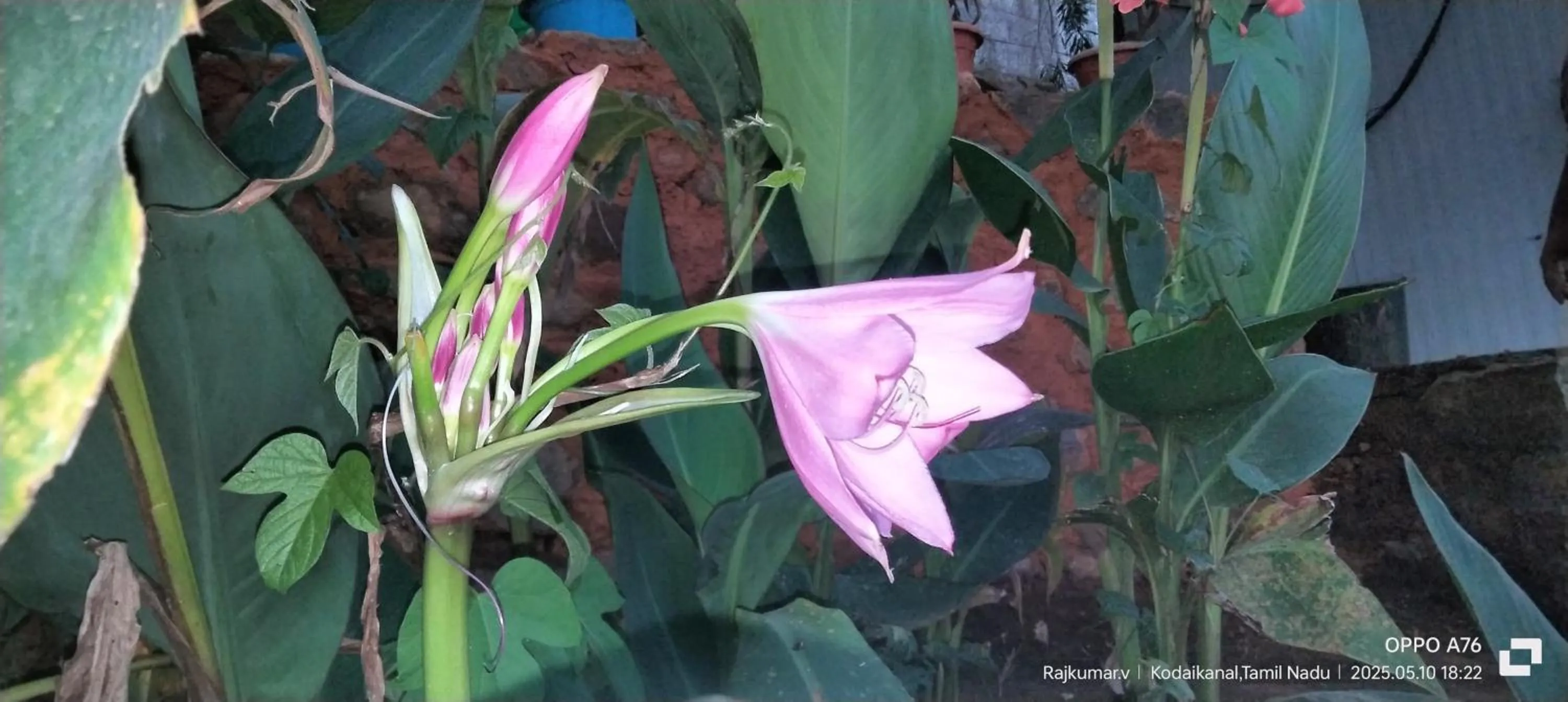 Spring in 4REST INN PRIVATE LIMITED