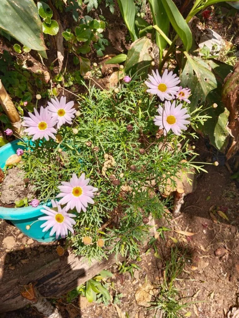 4REST INN PRIVATE LIMITED