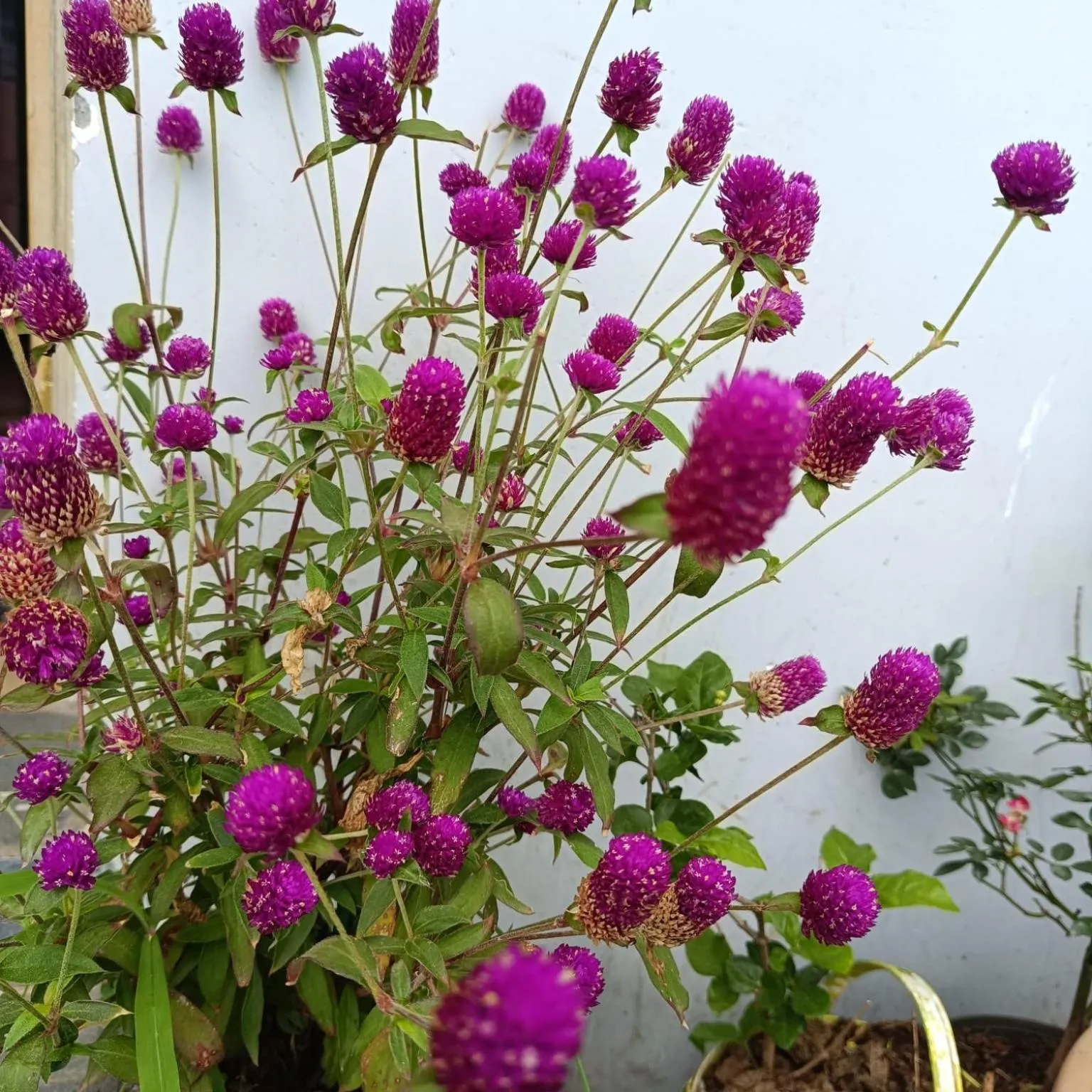 4REST INN PRIVATE LIMITED