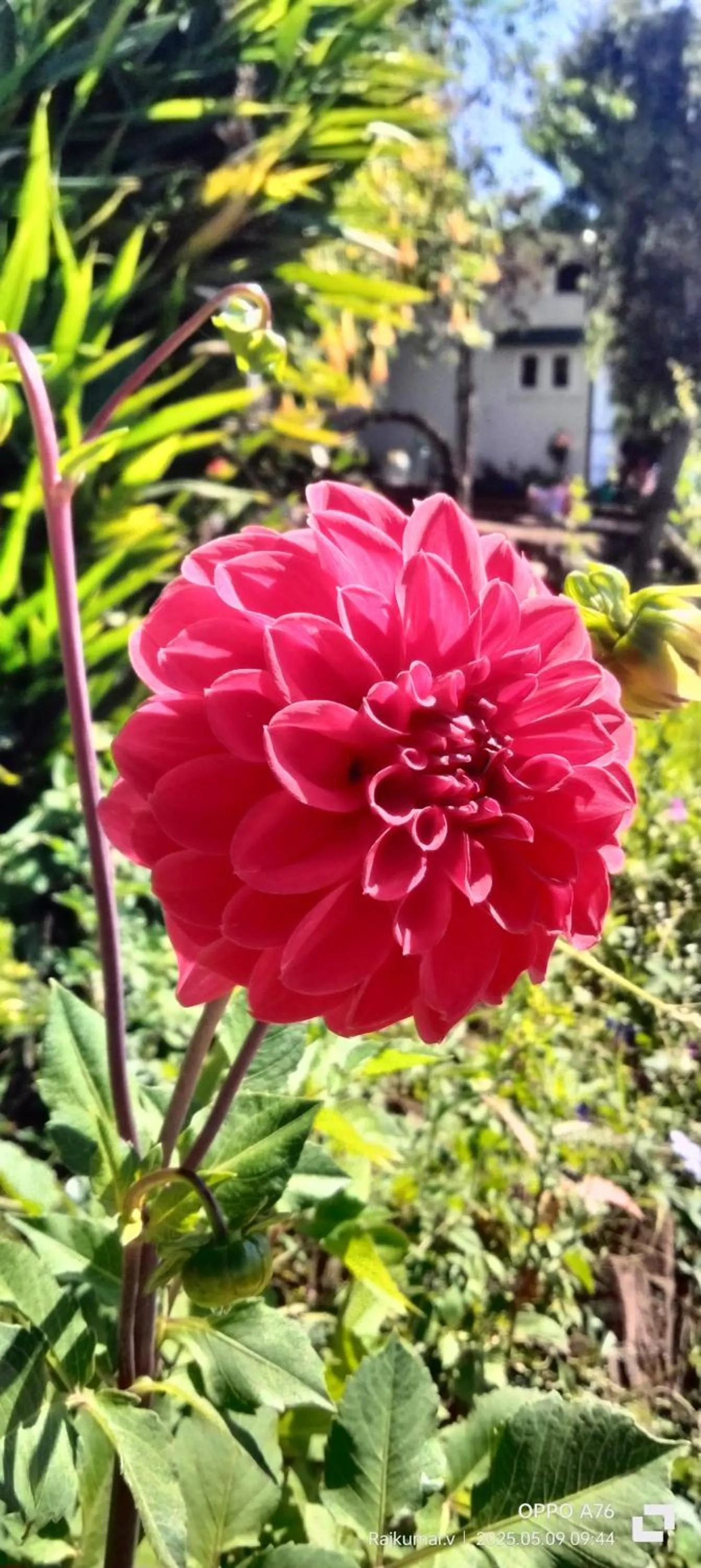 Garden in 4REST INN PRIVATE LIMITED