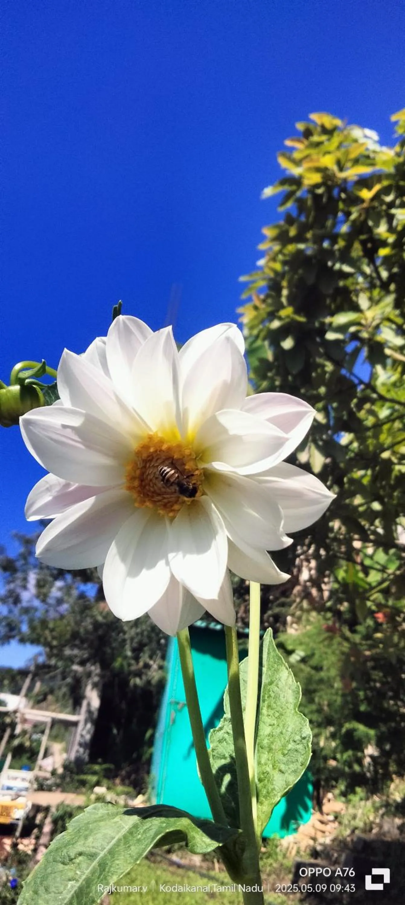 Garden in 4REST INN PRIVATE LIMITED