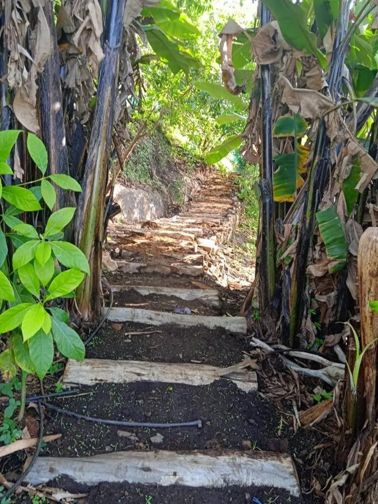 Garden in 4REST INN PRIVATE LIMITED