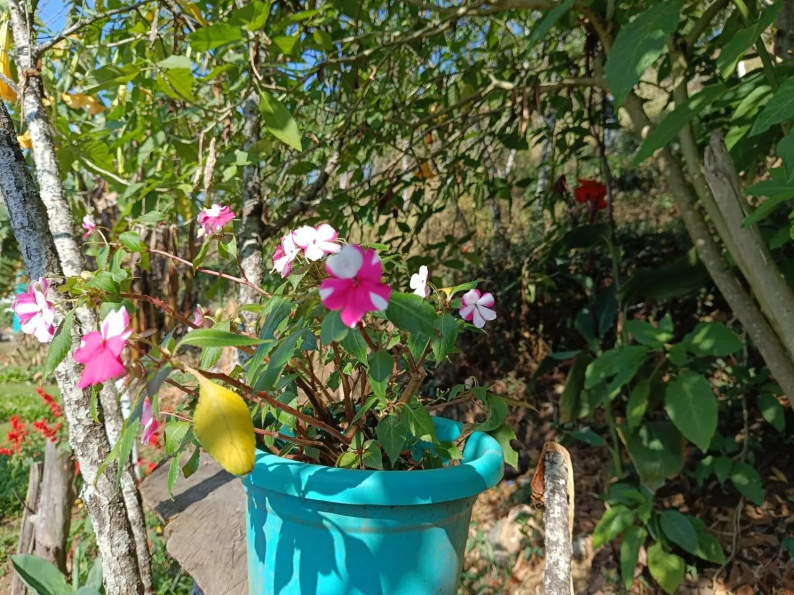 4REST INN PRIVATE LIMITED