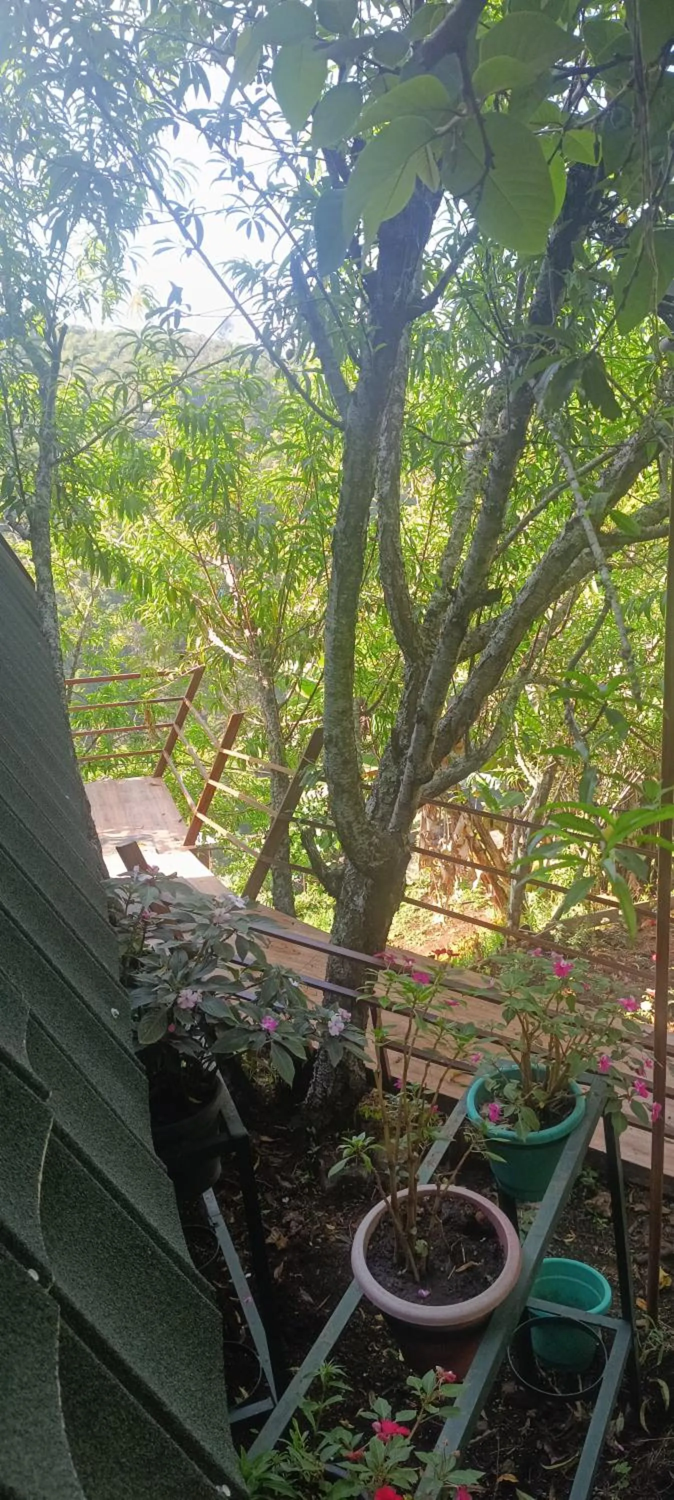 Garden view in 4REST INN PRIVATE LIMITED