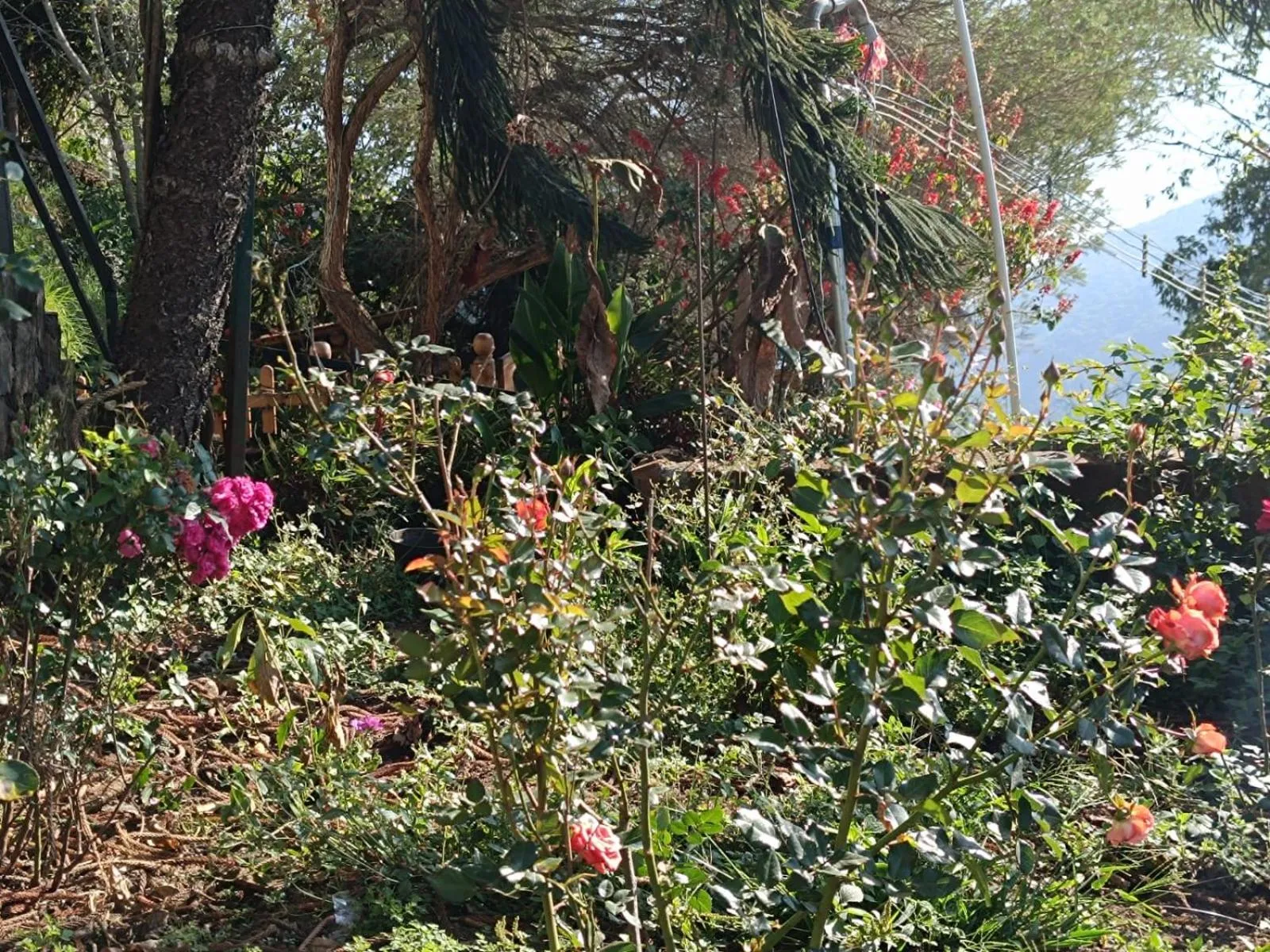 4REST INN PRIVATE LIMITED