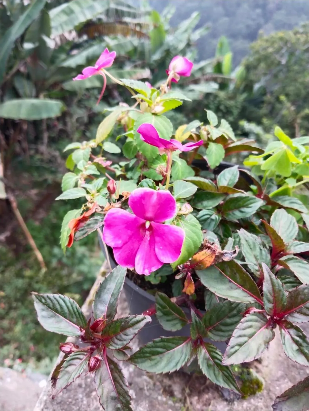 4REST INN PRIVATE LIMITED