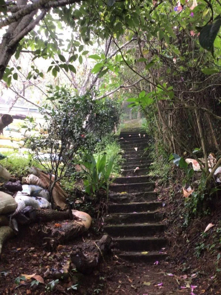 Garden in 4REST INN PRIVATE LIMITED