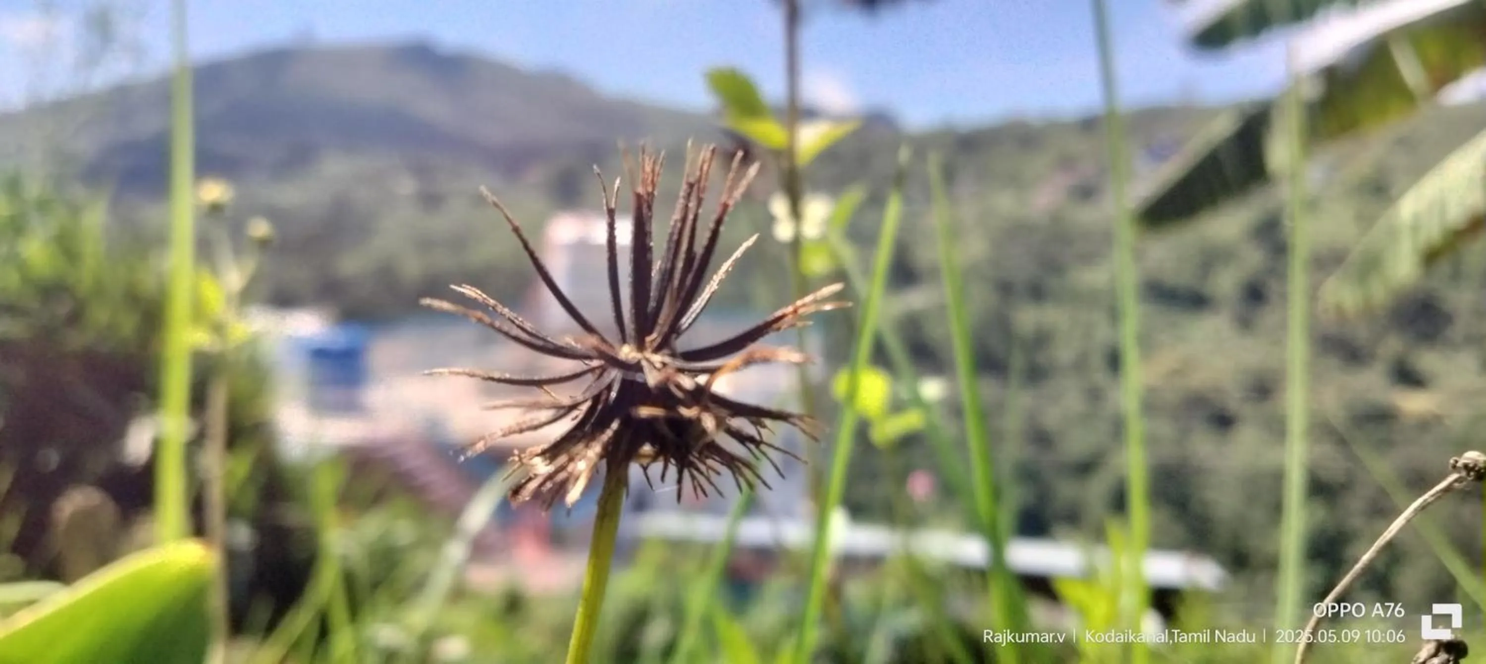 Garden in 4REST INN PRIVATE LIMITED