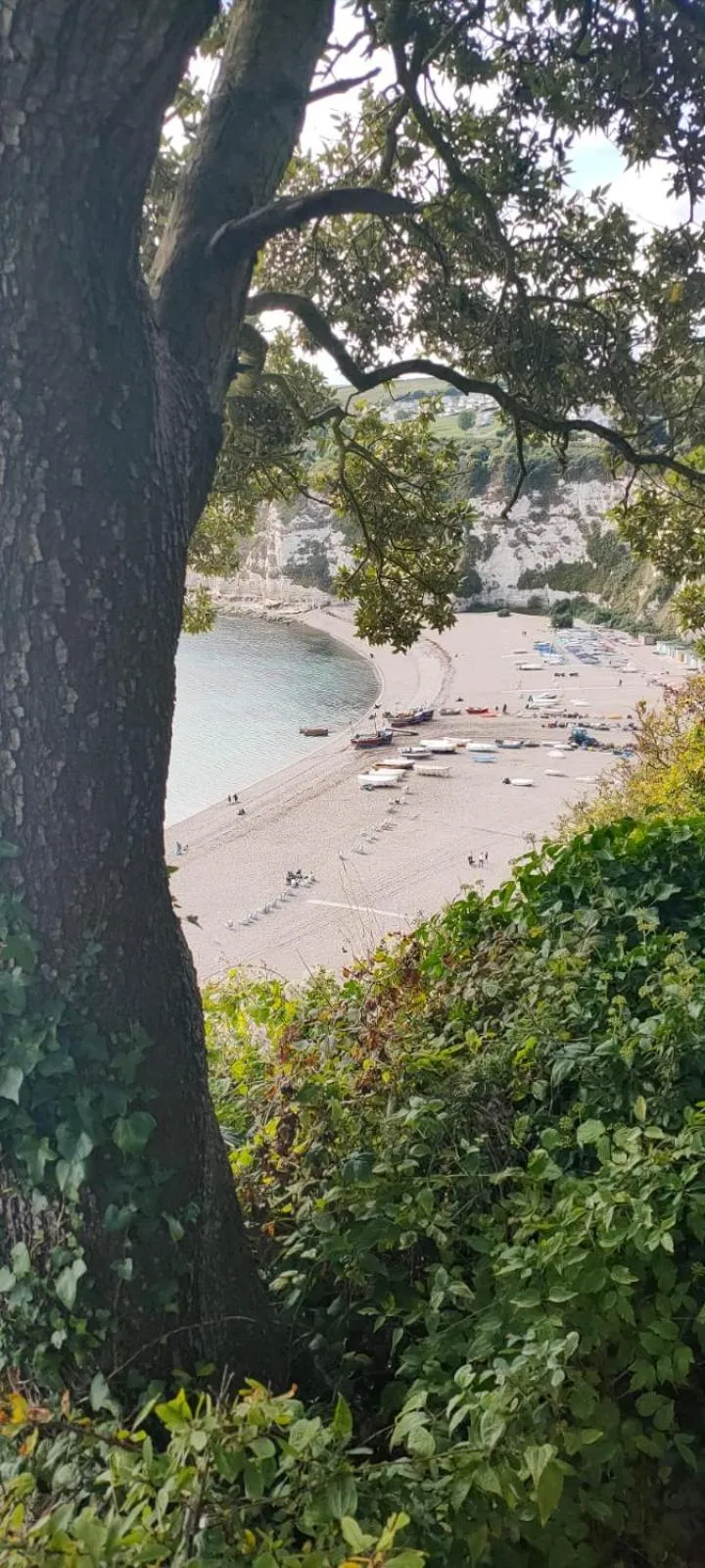 Beach in Cosy cottage in the Blackdown hills Devon