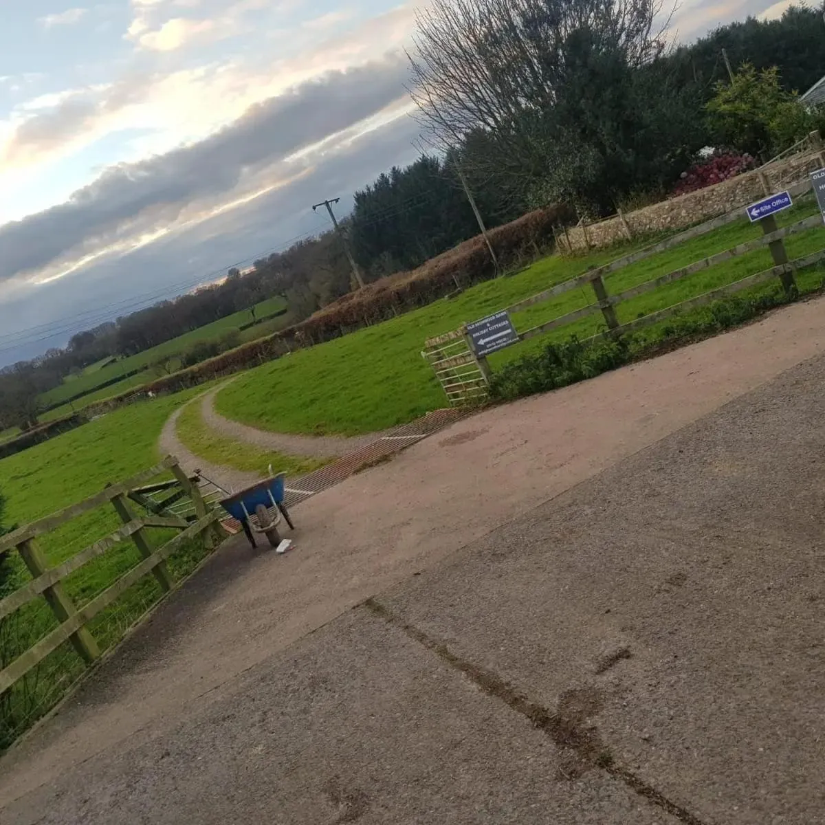 Natural landscape in Cosy cottage in the Blackdown hills Devon