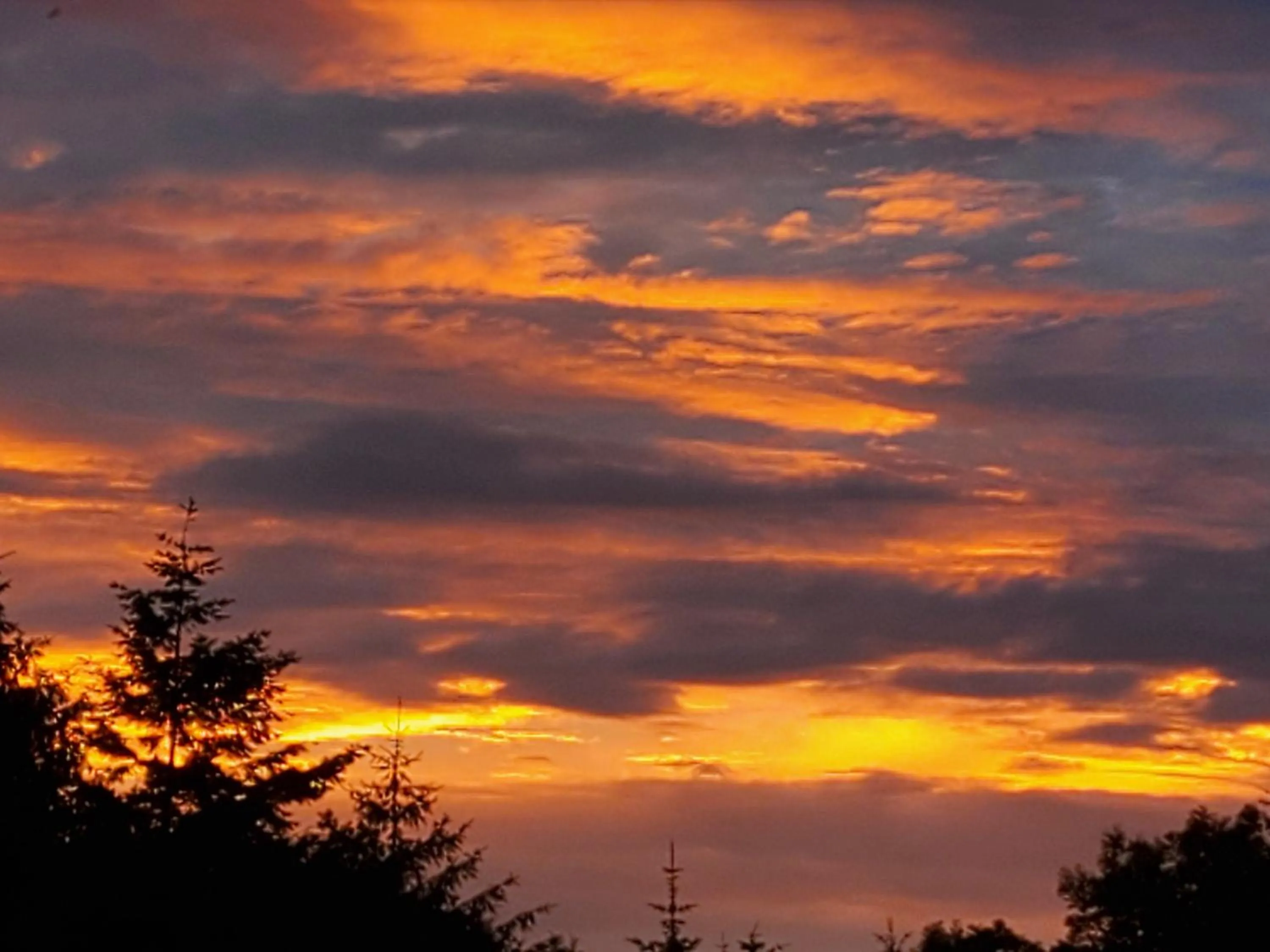 Sunrise in Cosy cottage in the Blackdown hills Devon