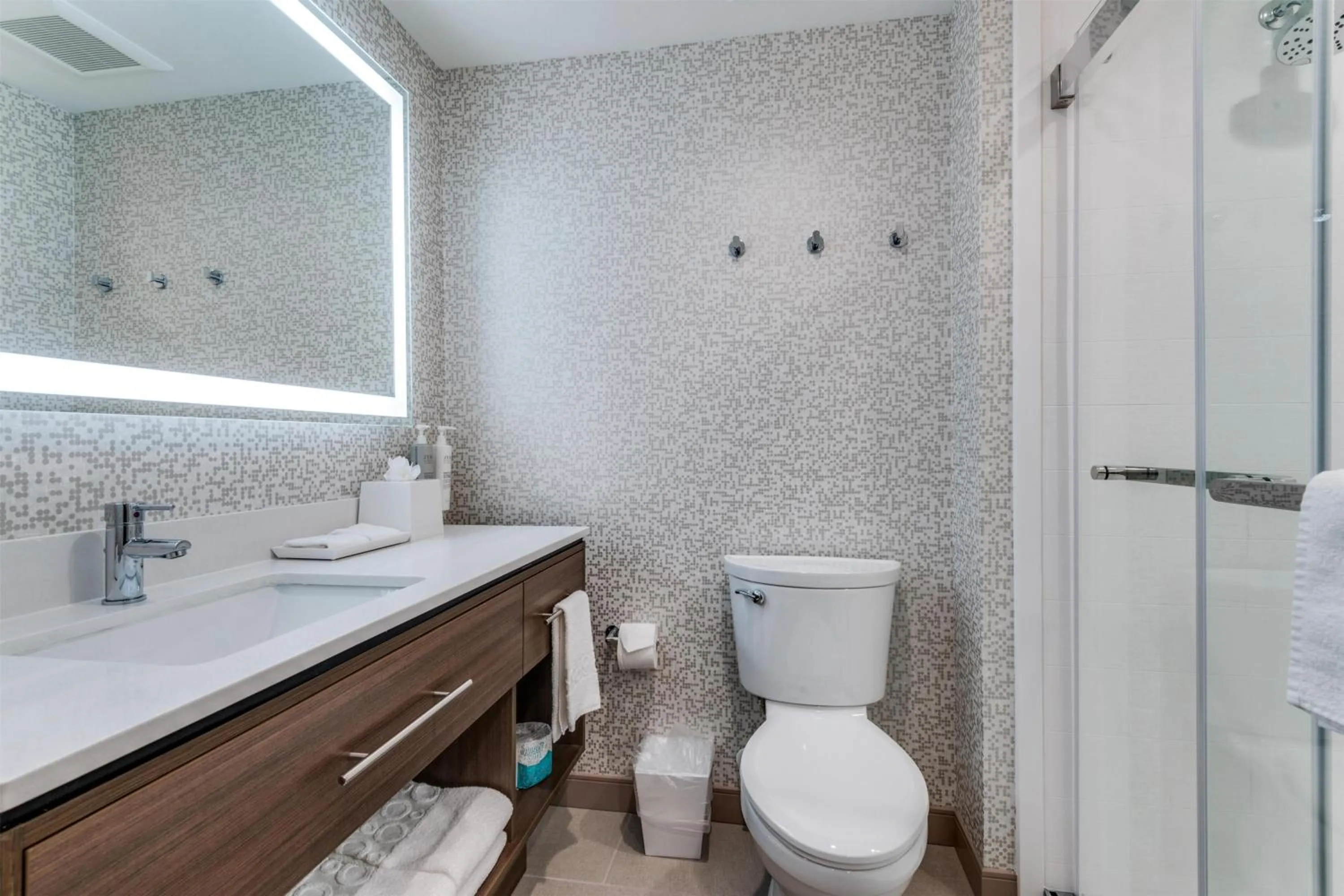 Bathroom in Home2 Suites By Hilton Dallas Medical District Lovefield, Tx