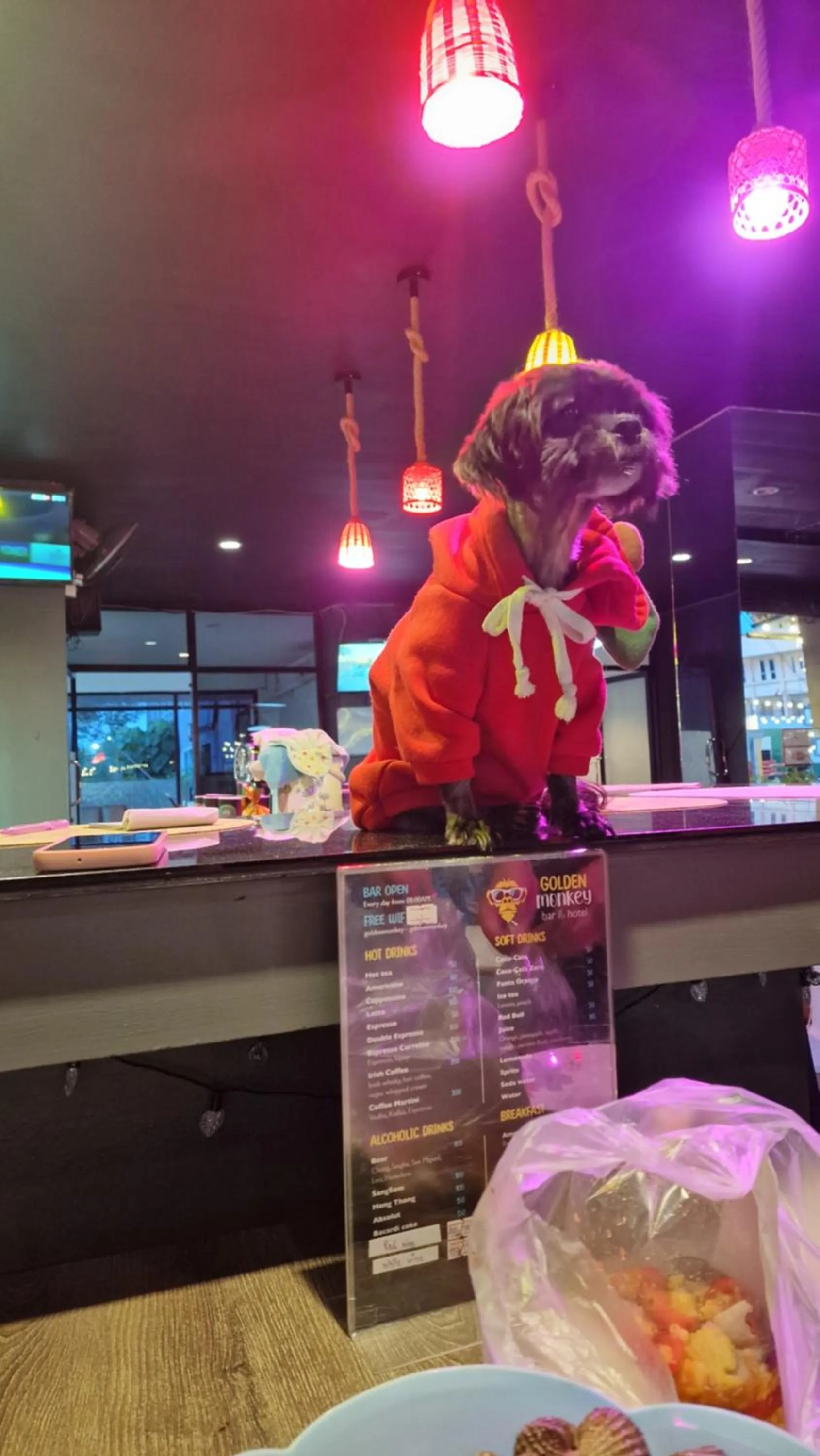 Pets in Golden Monkey Samui