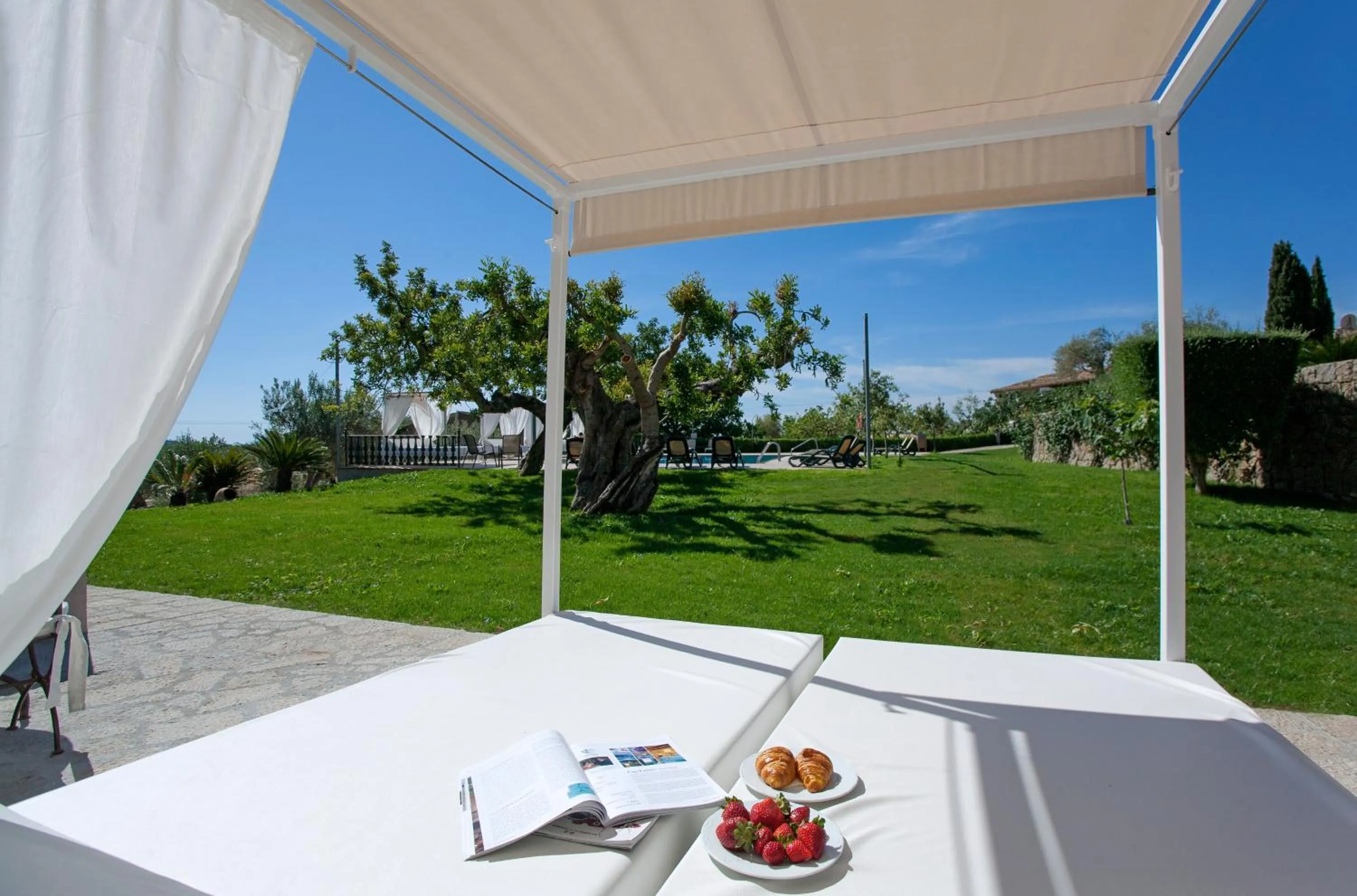 Day in Finca Binibona Parc Natural