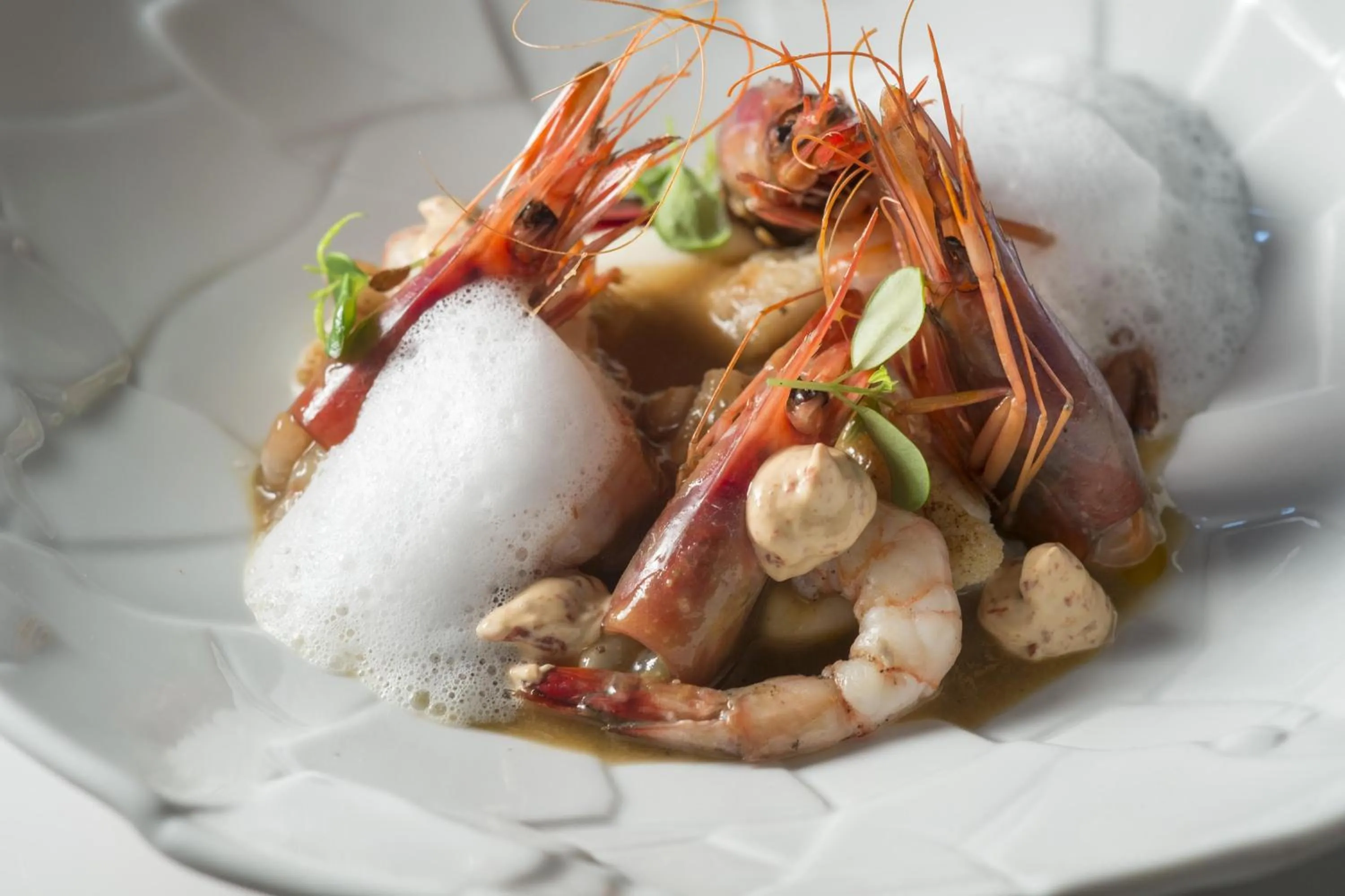 Restaurant/places to eat in Hotel La Malcontenta