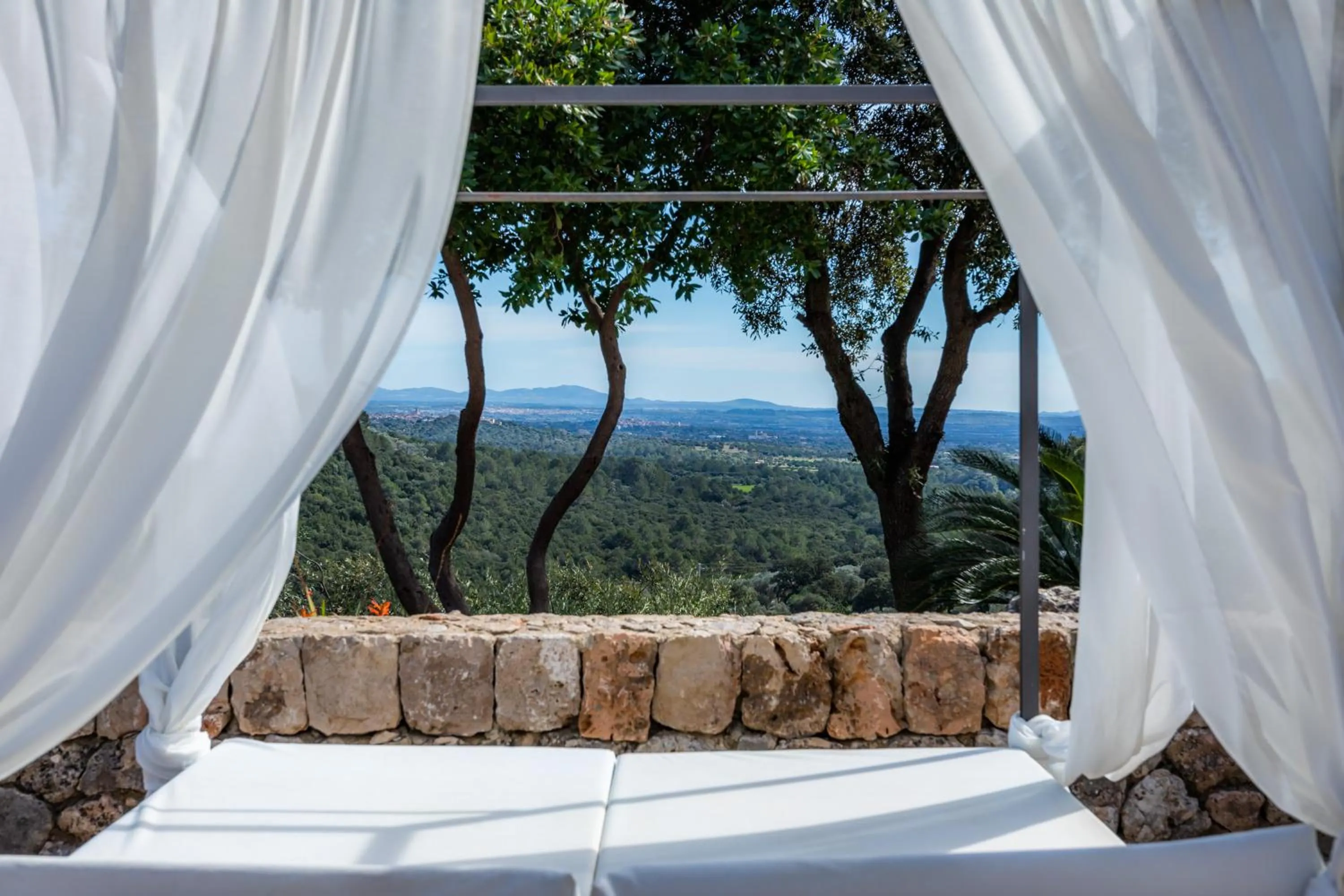 View (from property/room) in Finca Albellons