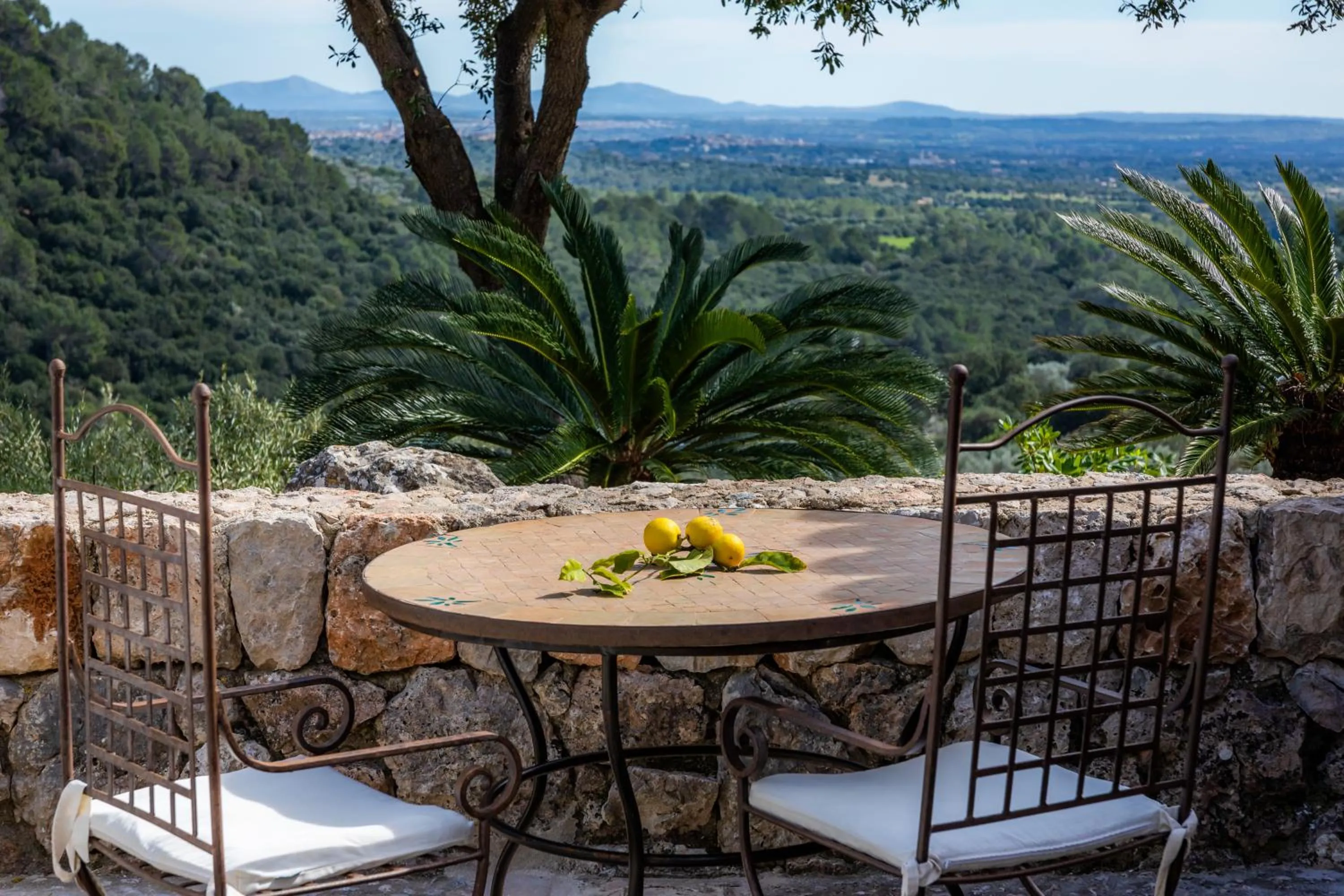 Natural landscape in Finca Albellons