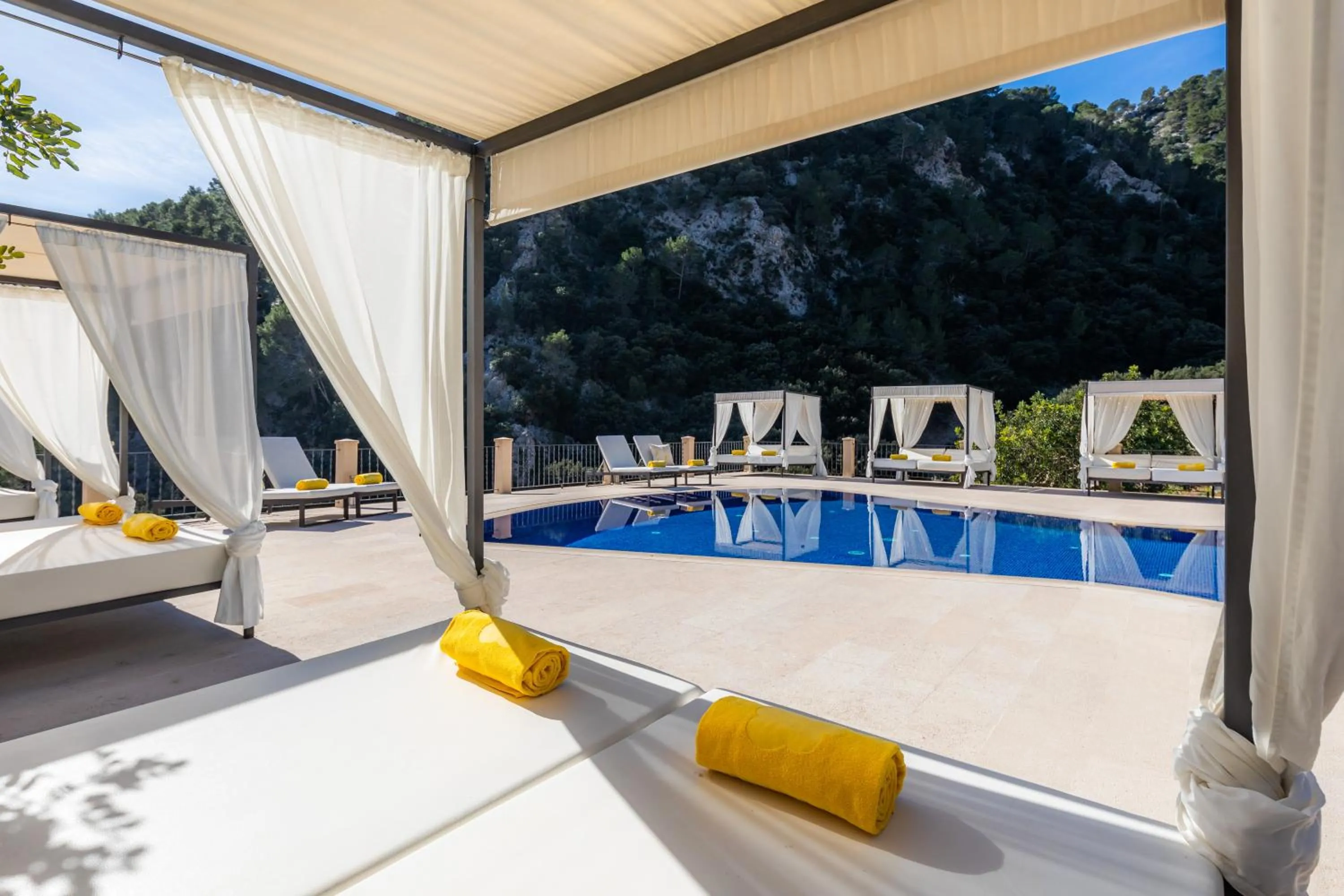 Swimming pool in Finca Albellons