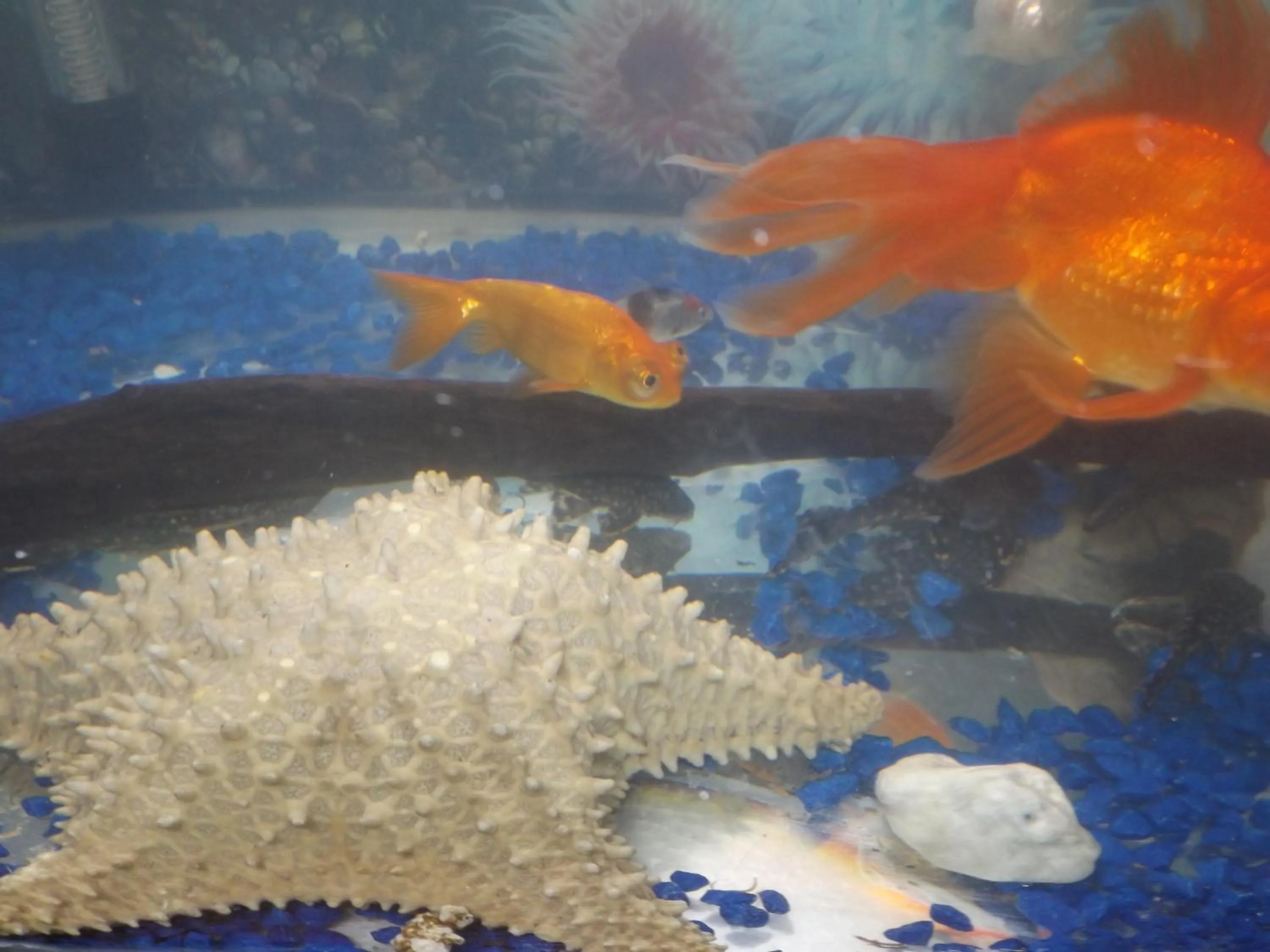 Communal lounge/ TV room in Hostel Lize