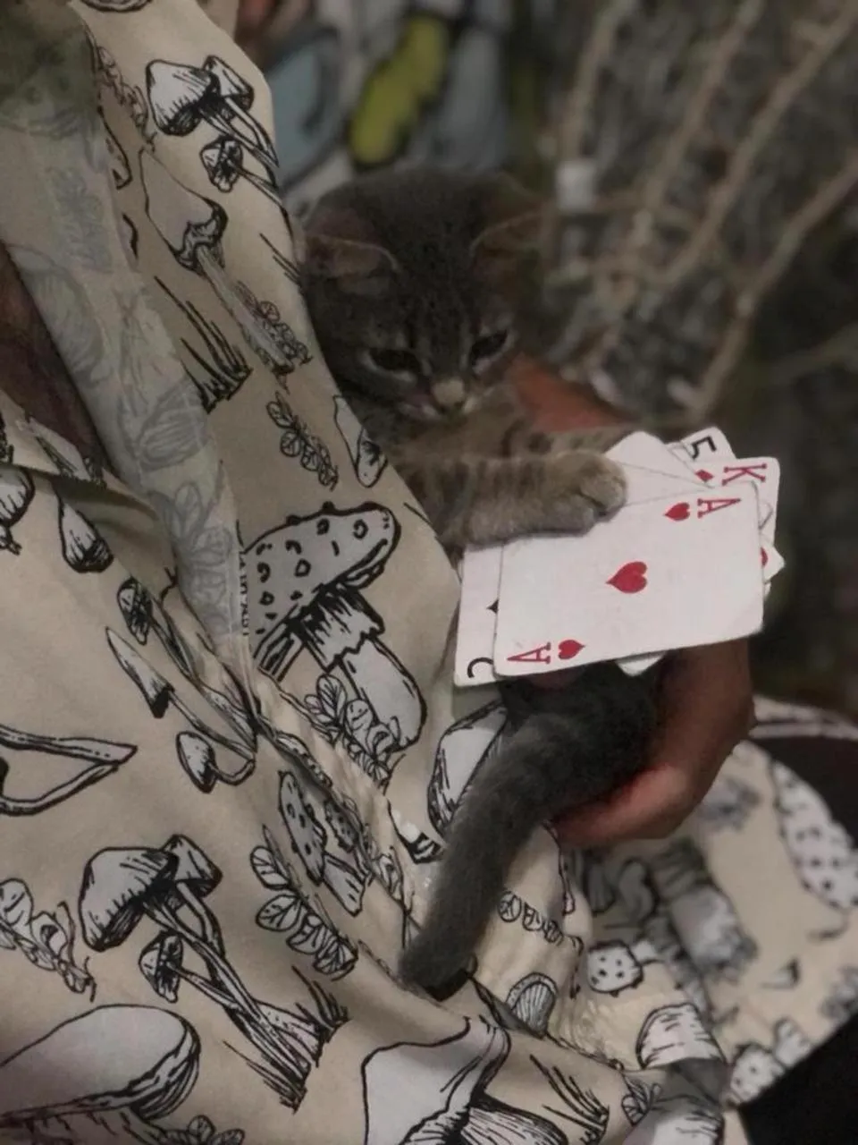 Game Room in Casa Satoshi