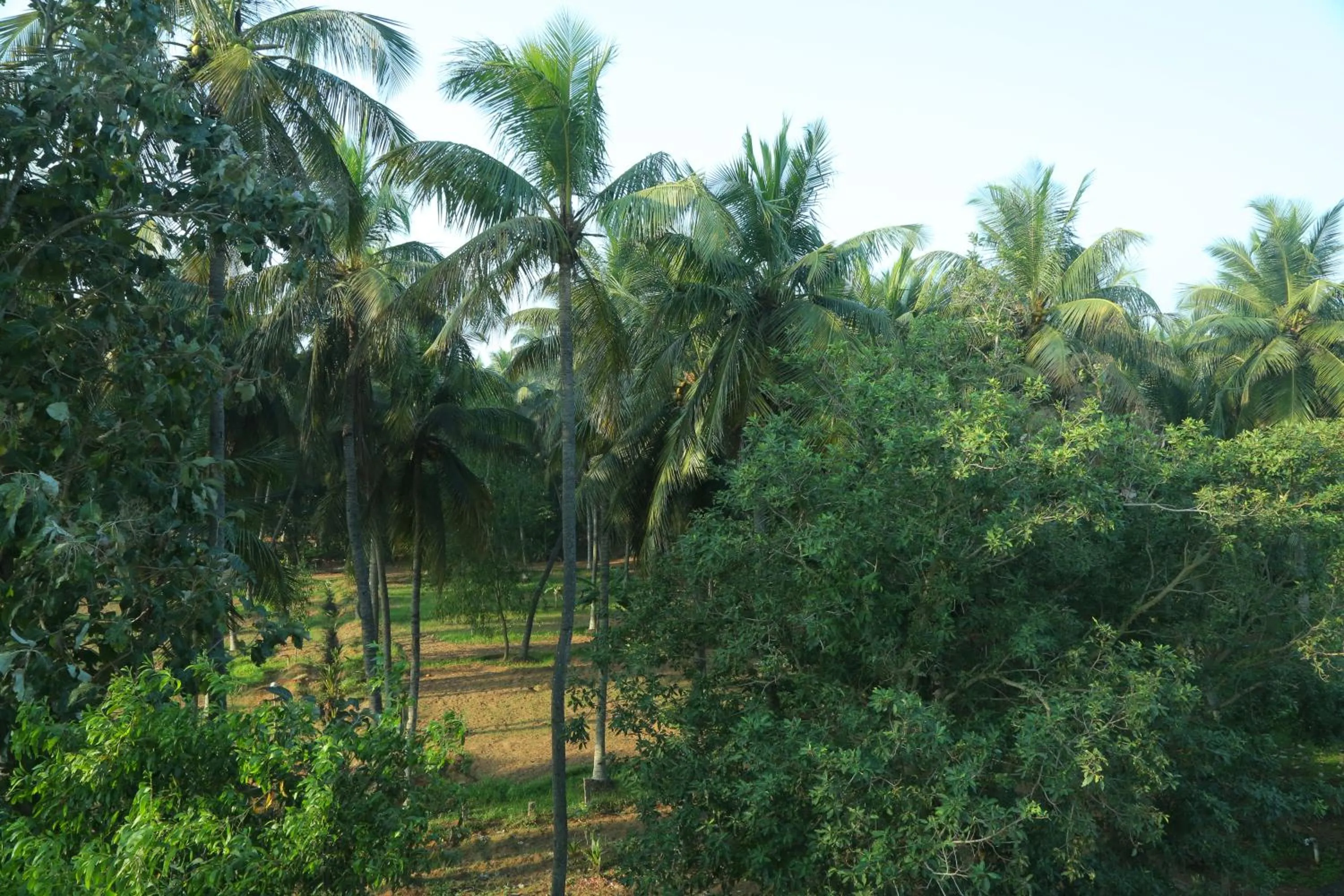 View (from property/room) in Misty Ocean - A Bergamont Group of Hotel