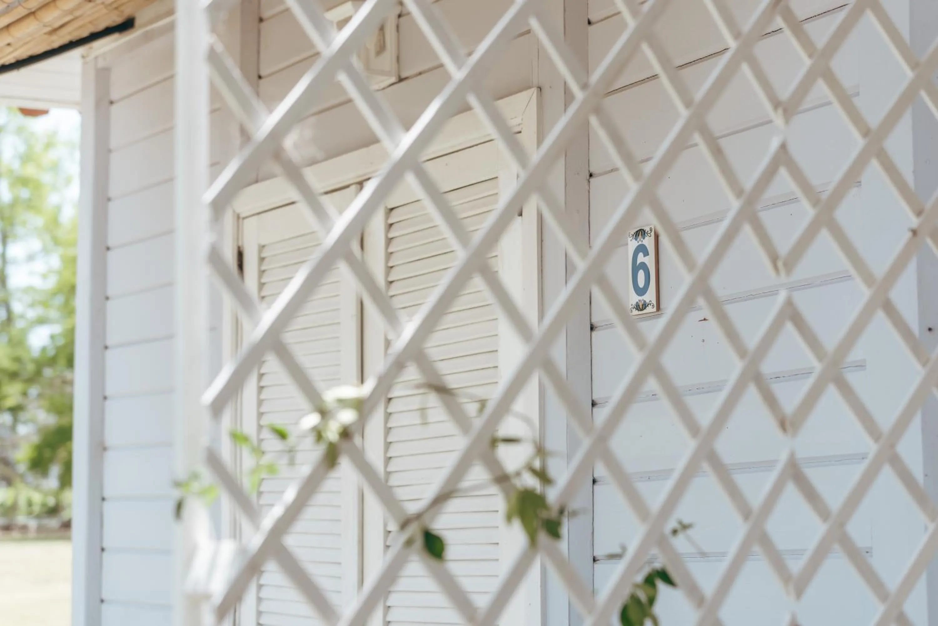 Day in Finca del Sacramento