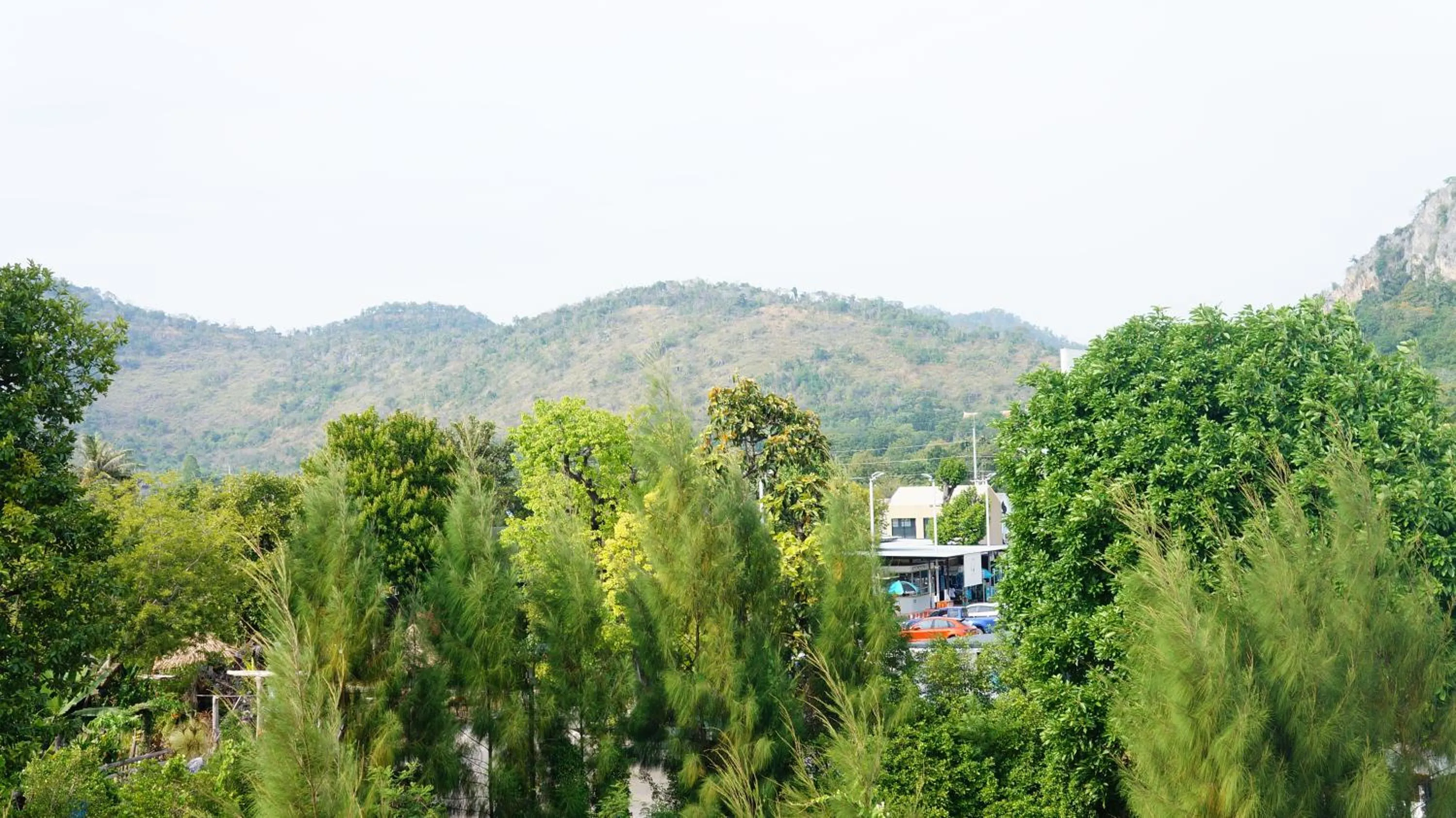 Natural landscape in PT Grand Hotel