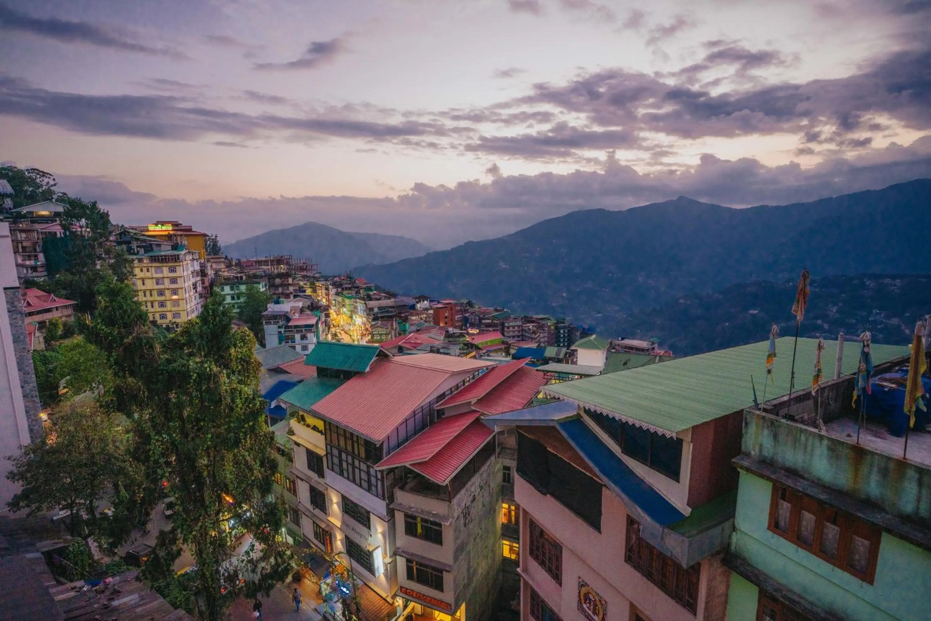 Other in Q SAINA THE COSMOS