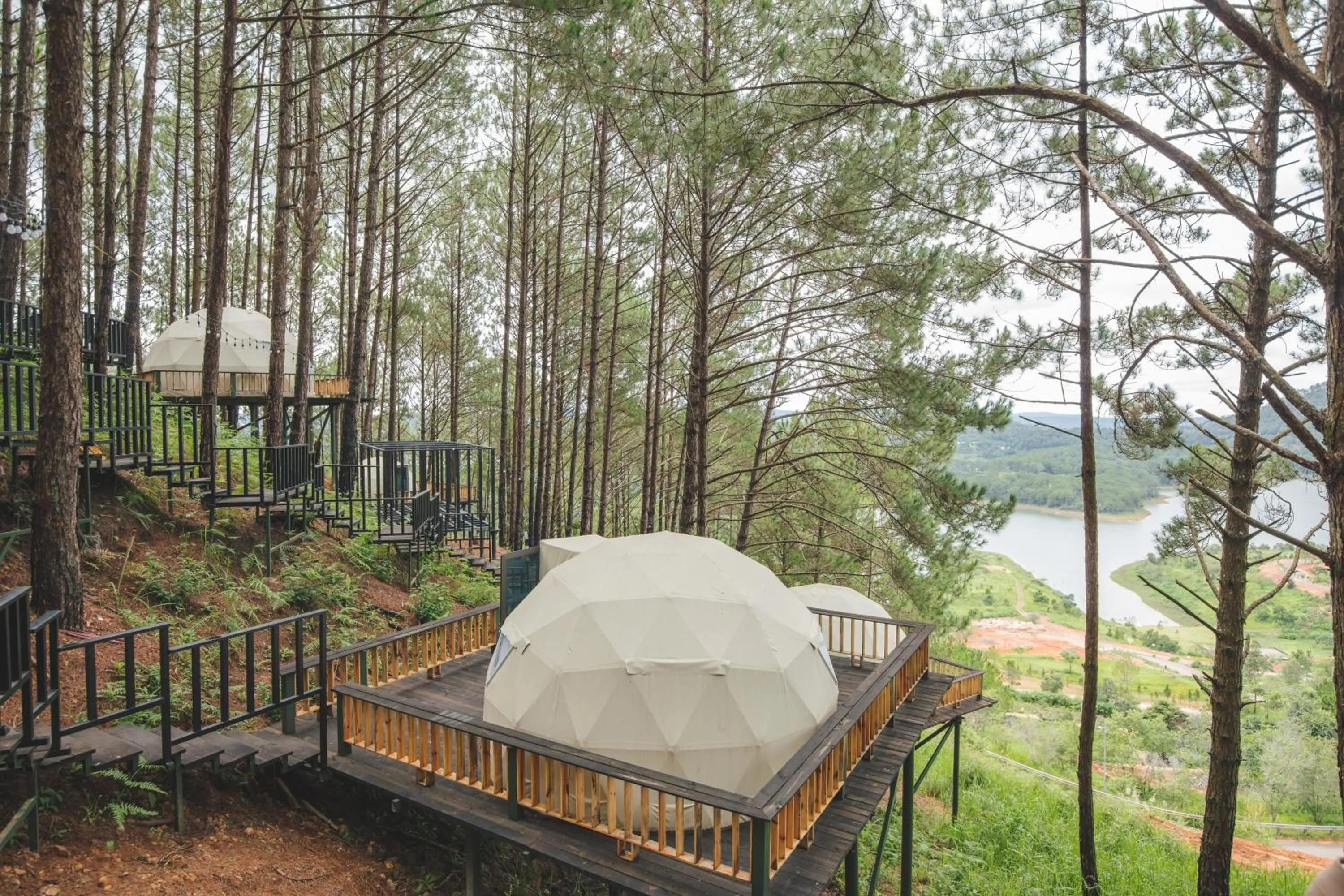 Day in Lavender Dalat Hotel and Resorts