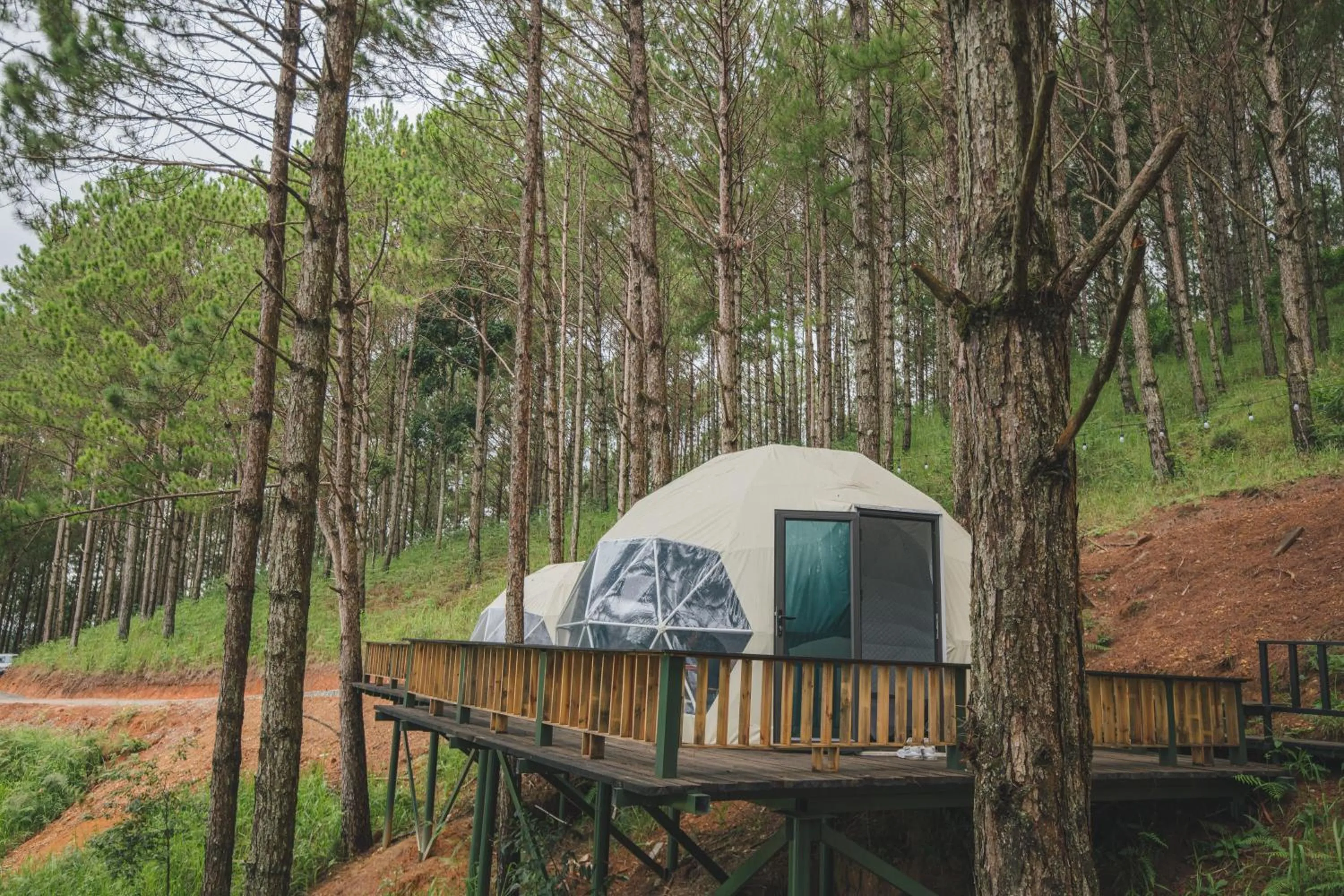 Day in Lavender Dalat Hotel and Resorts