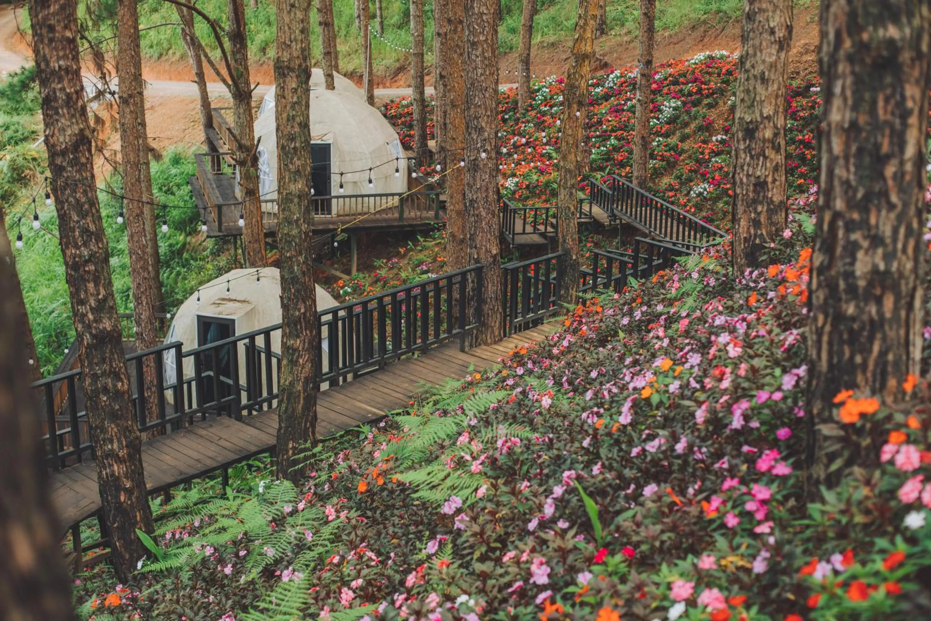 Neighbourhood in Lavender Dalat Hotel and Resorts