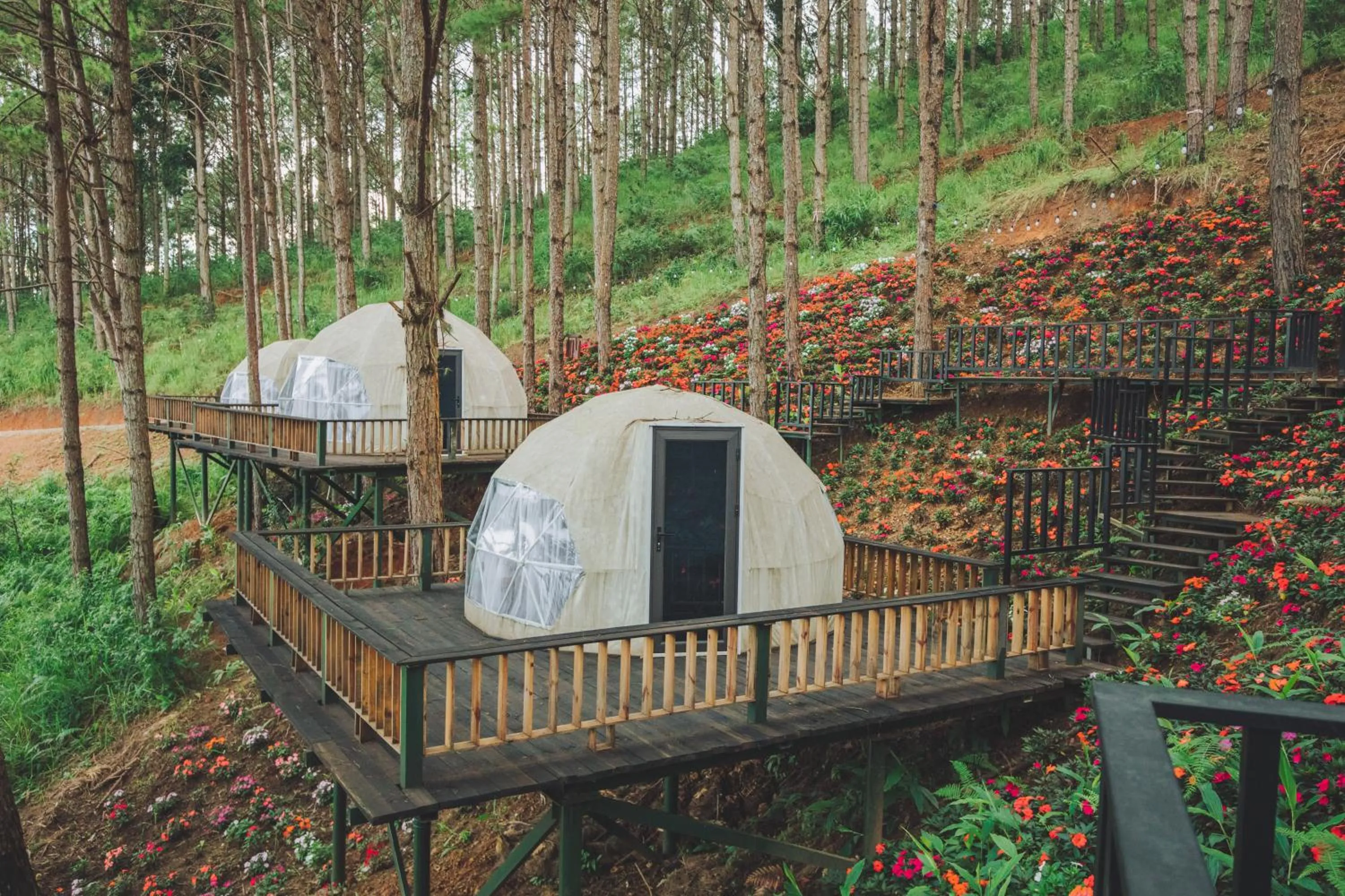 Day in Lavender Dalat Hotel and Resorts