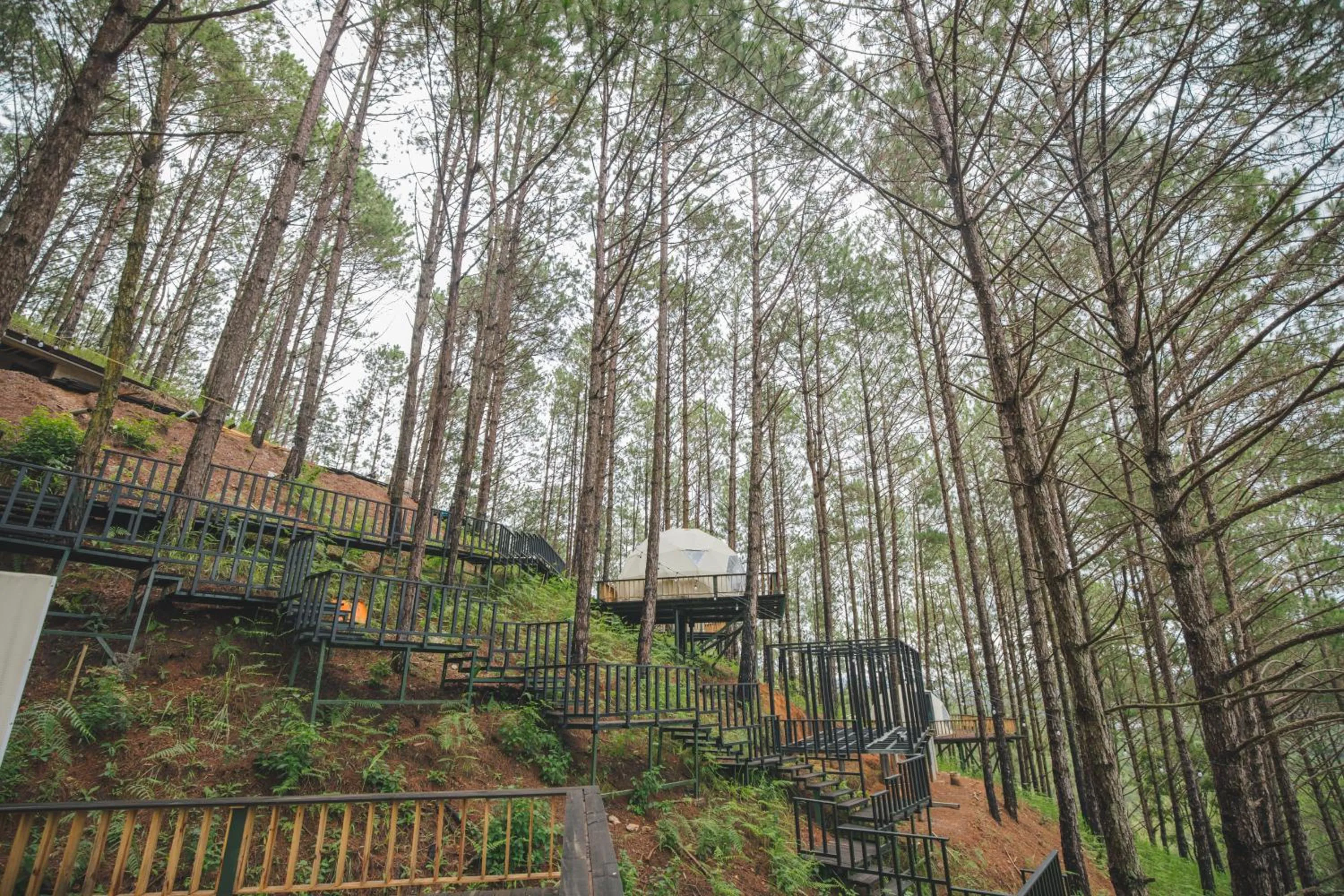 Day in Lavender Dalat Hotel and Resorts