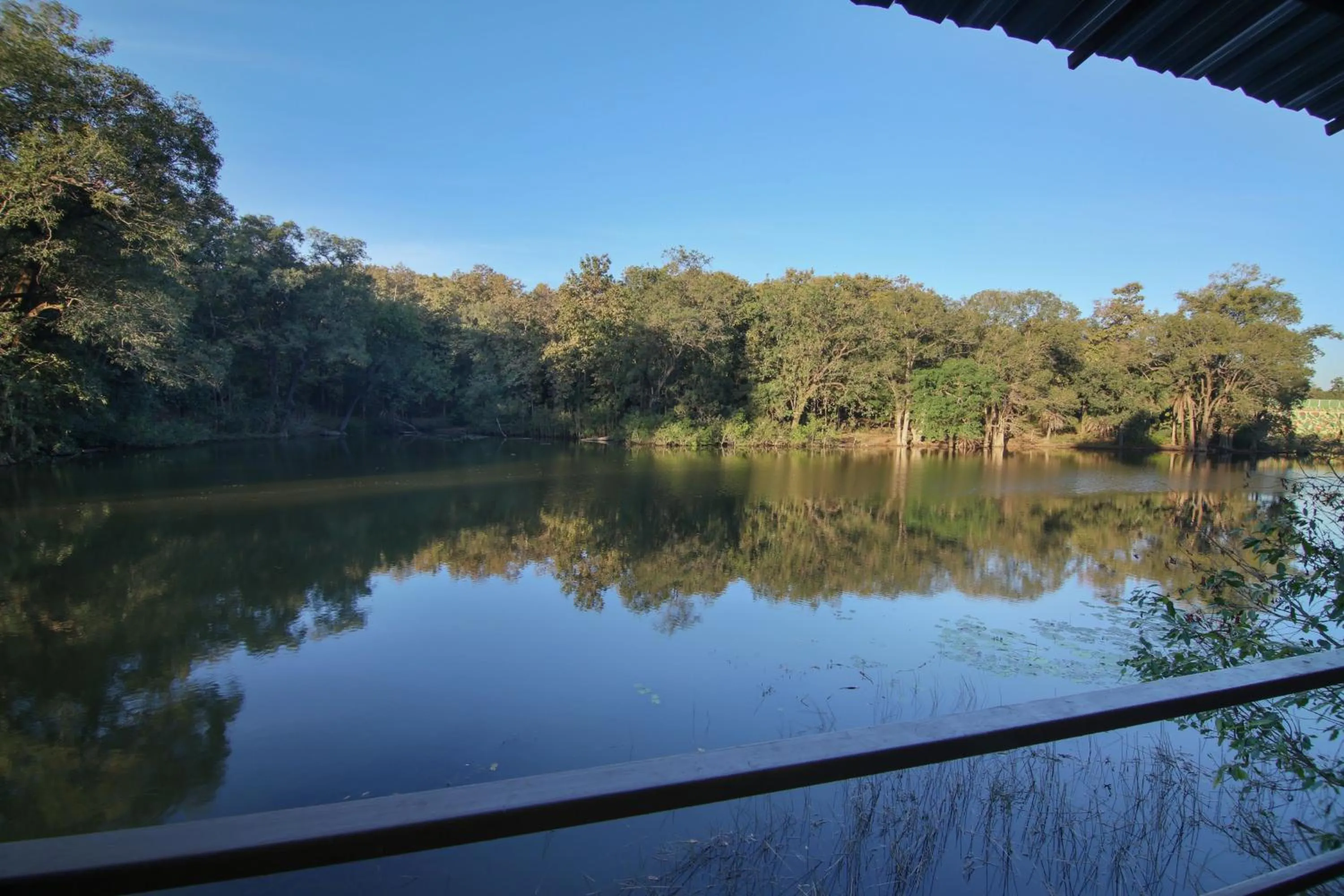 Day in Rukhad Jungle Camp - Pench