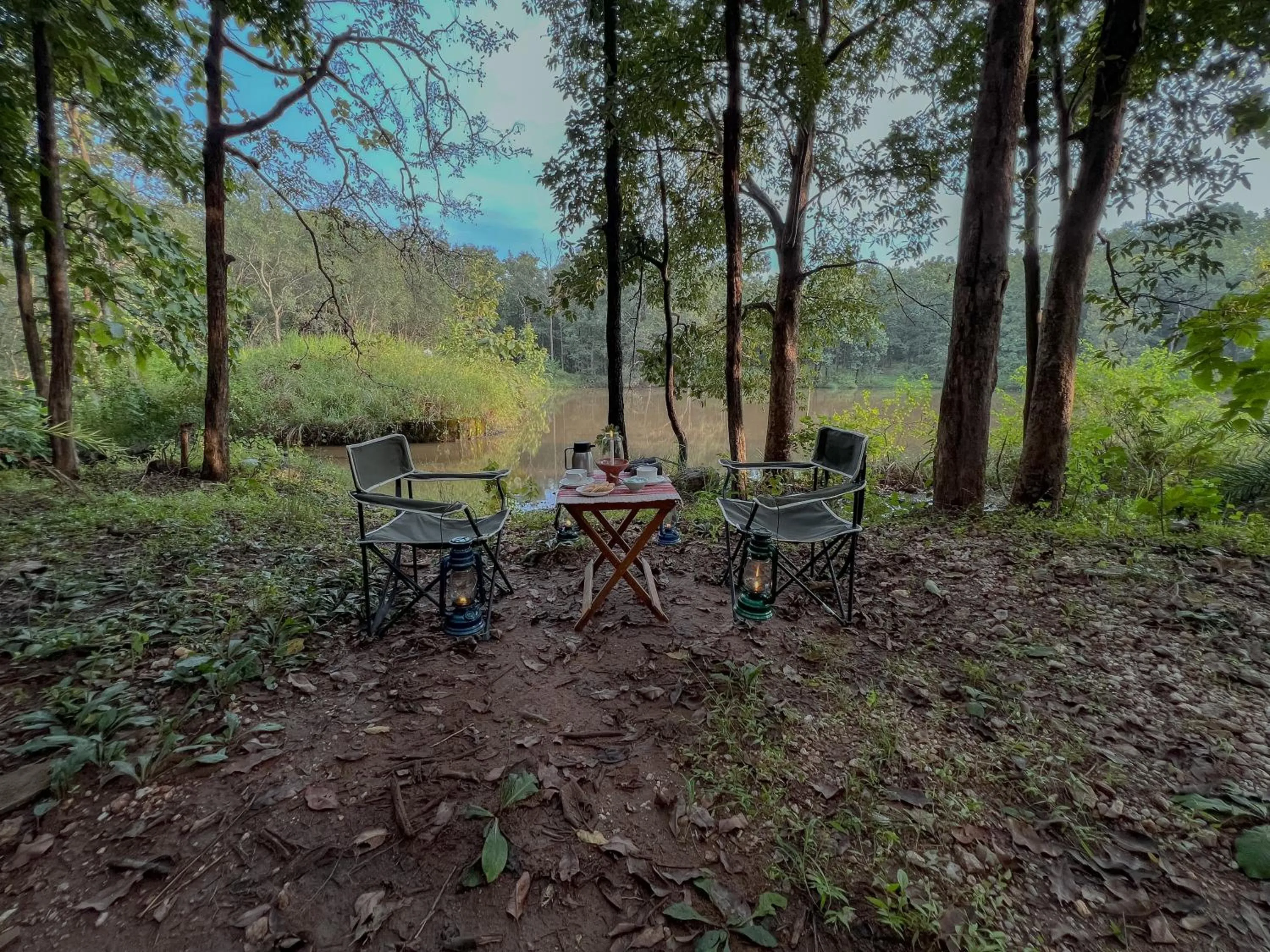 Day in Rukhad Jungle Camp - Pench