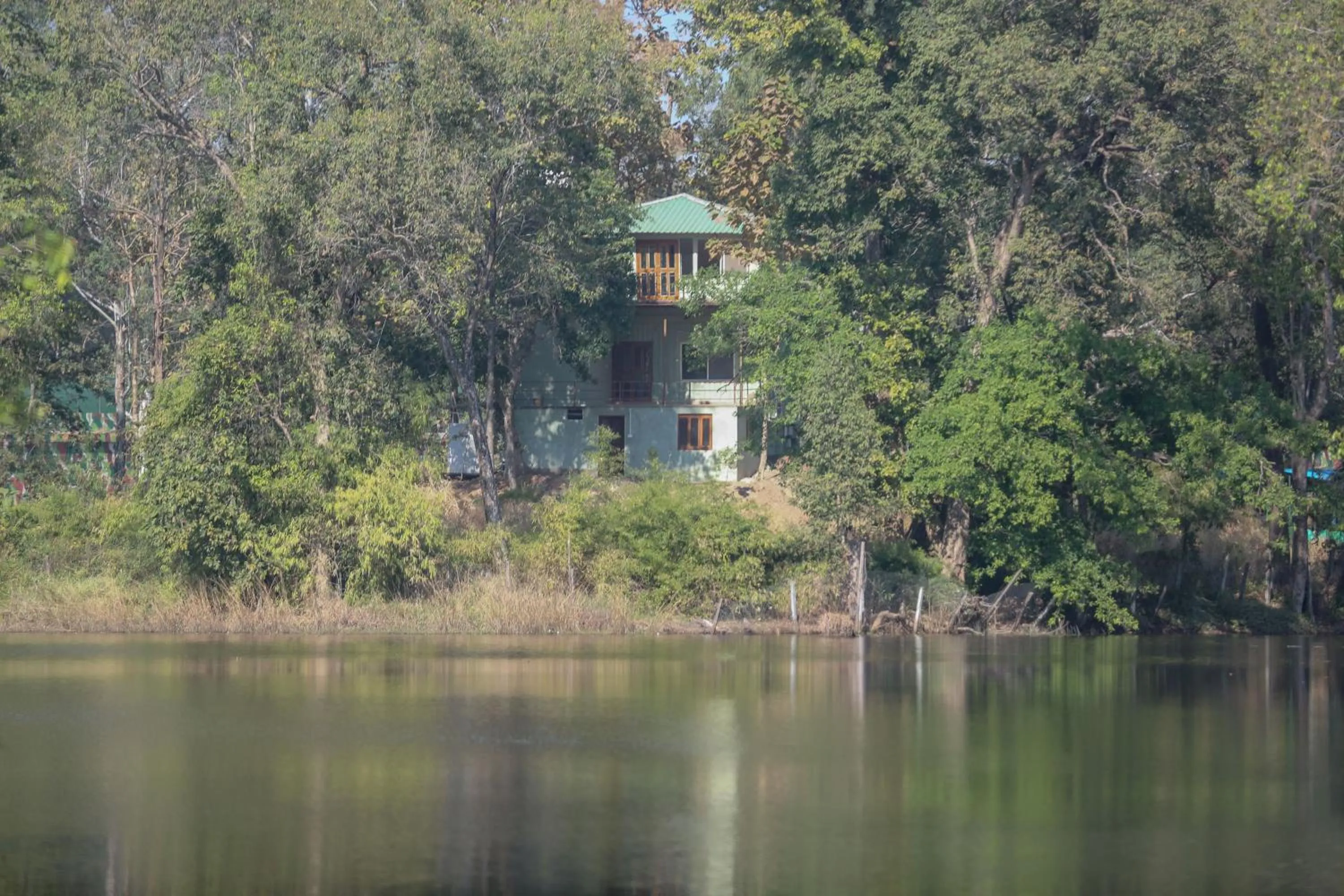 View (from property/room) in Rukhad Jungle Camp - Pench