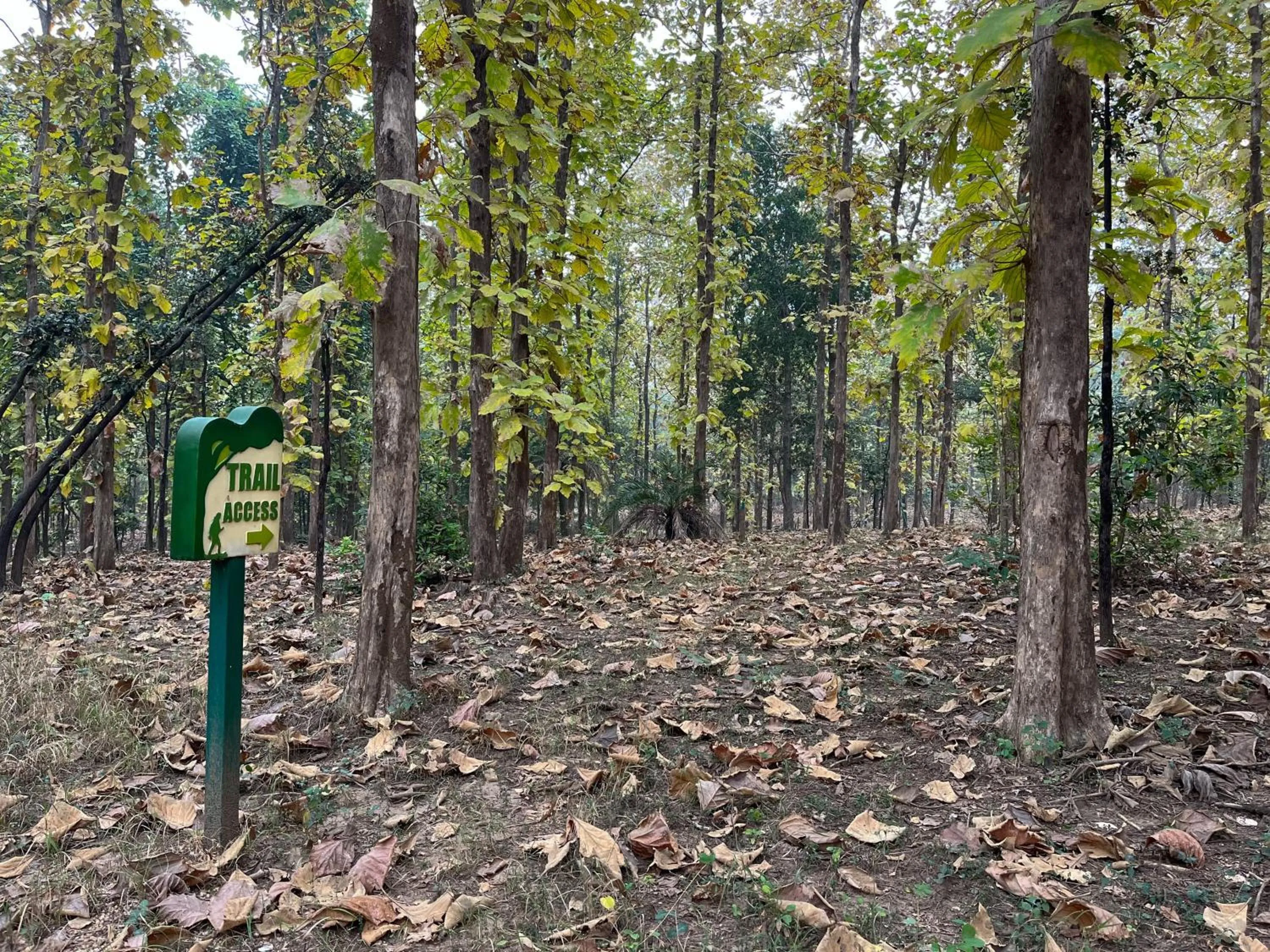 Natural landscape in Rukhad Jungle Camp - Pench