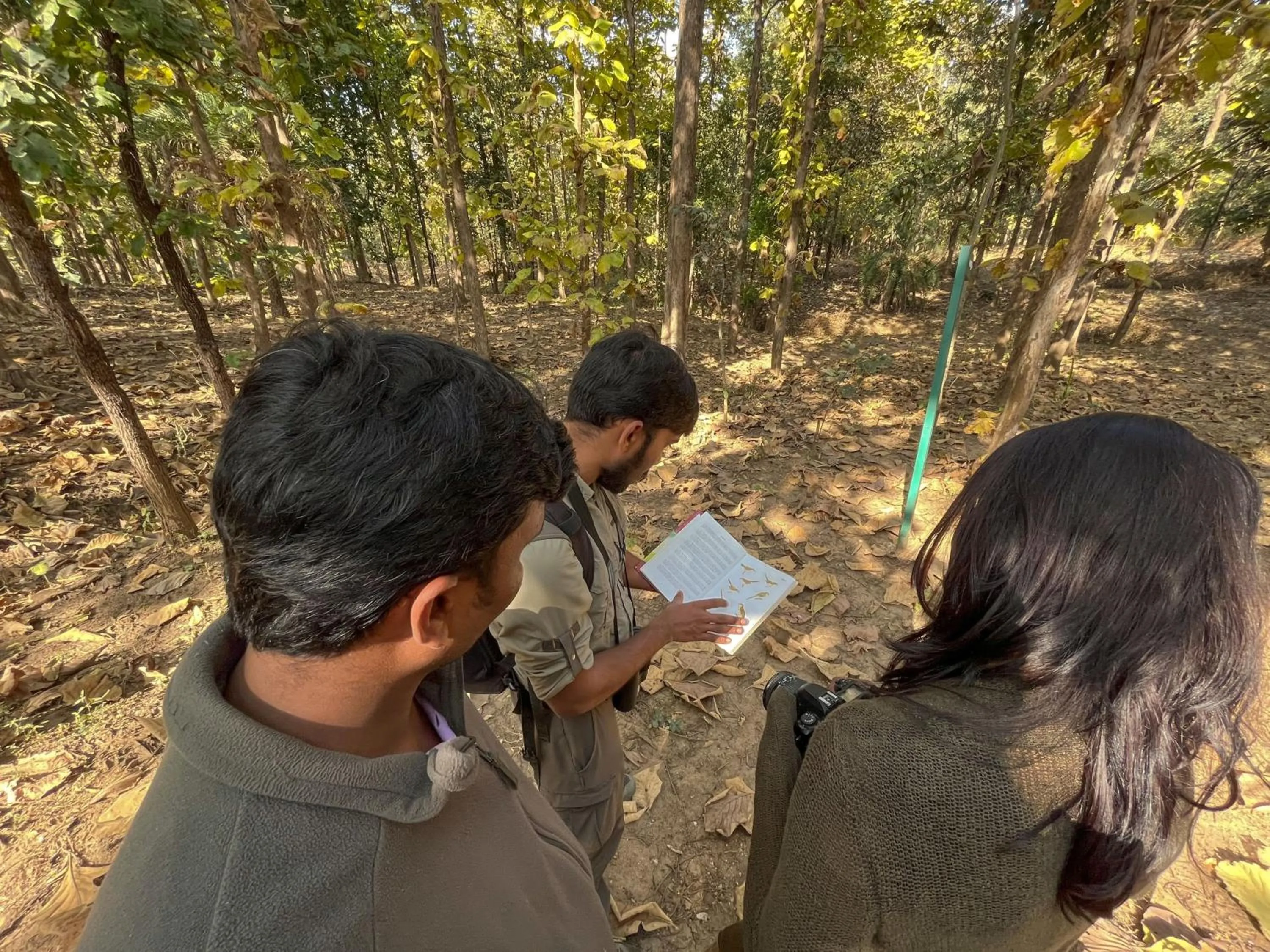 group of guests in Rukhad Jungle Camp - Pench