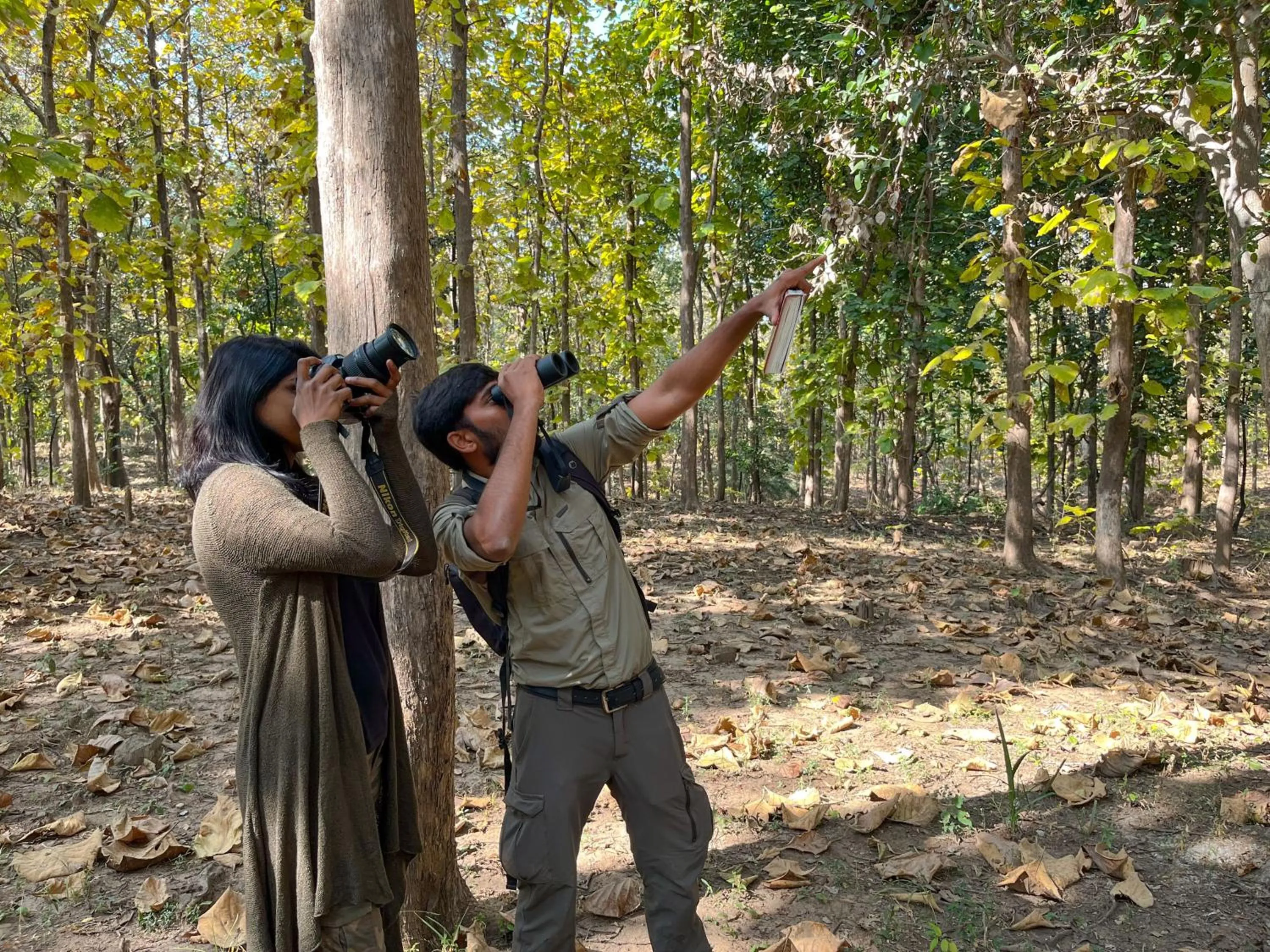 Activities in Rukhad Jungle Camp - Pench
