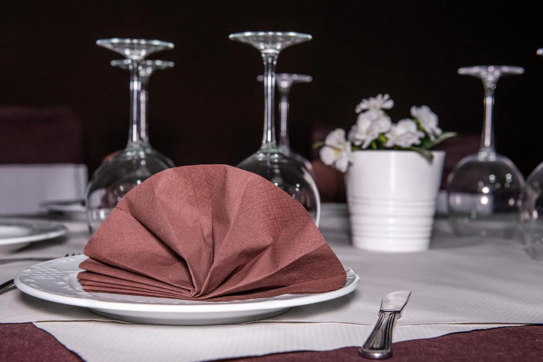 Restaurant/places to eat in Hotel Ancora