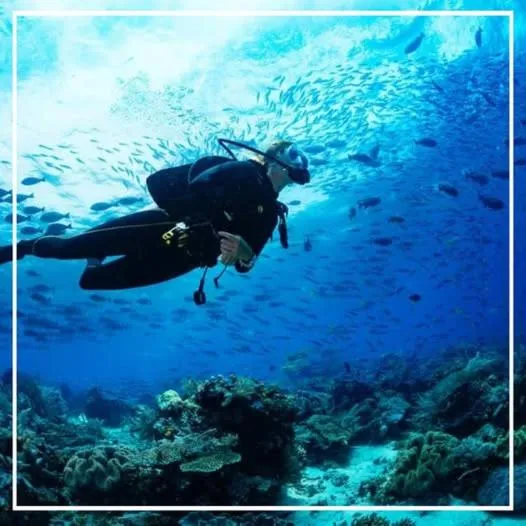 Nearby landmark in Hotel Ancora