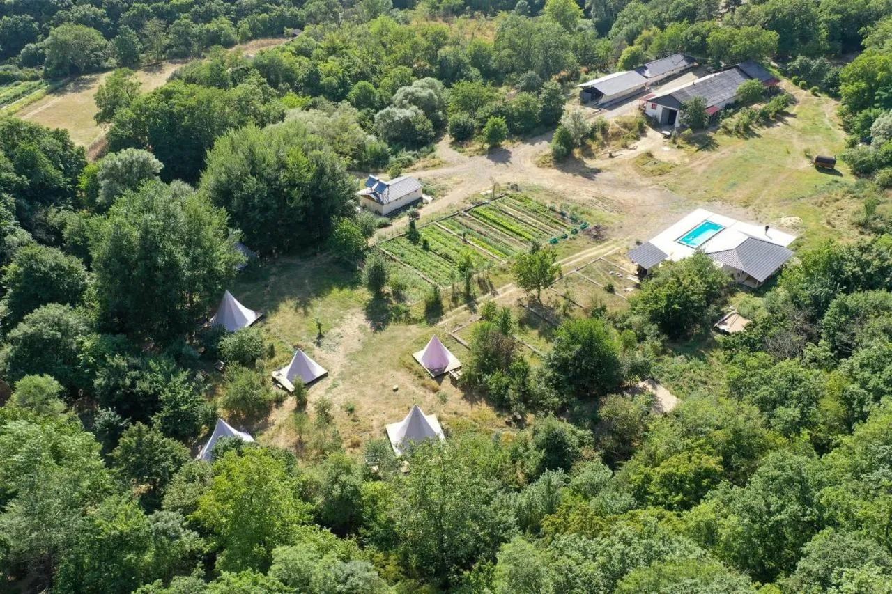 Property building in Gipsy Village Park Hotel