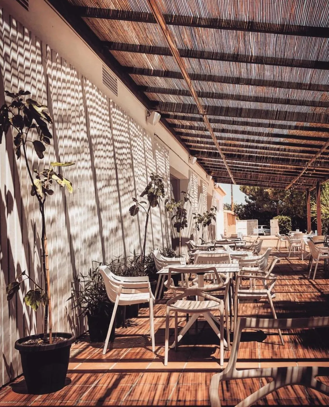 Lounge or bar in Tu&Me Resort - Adults Only