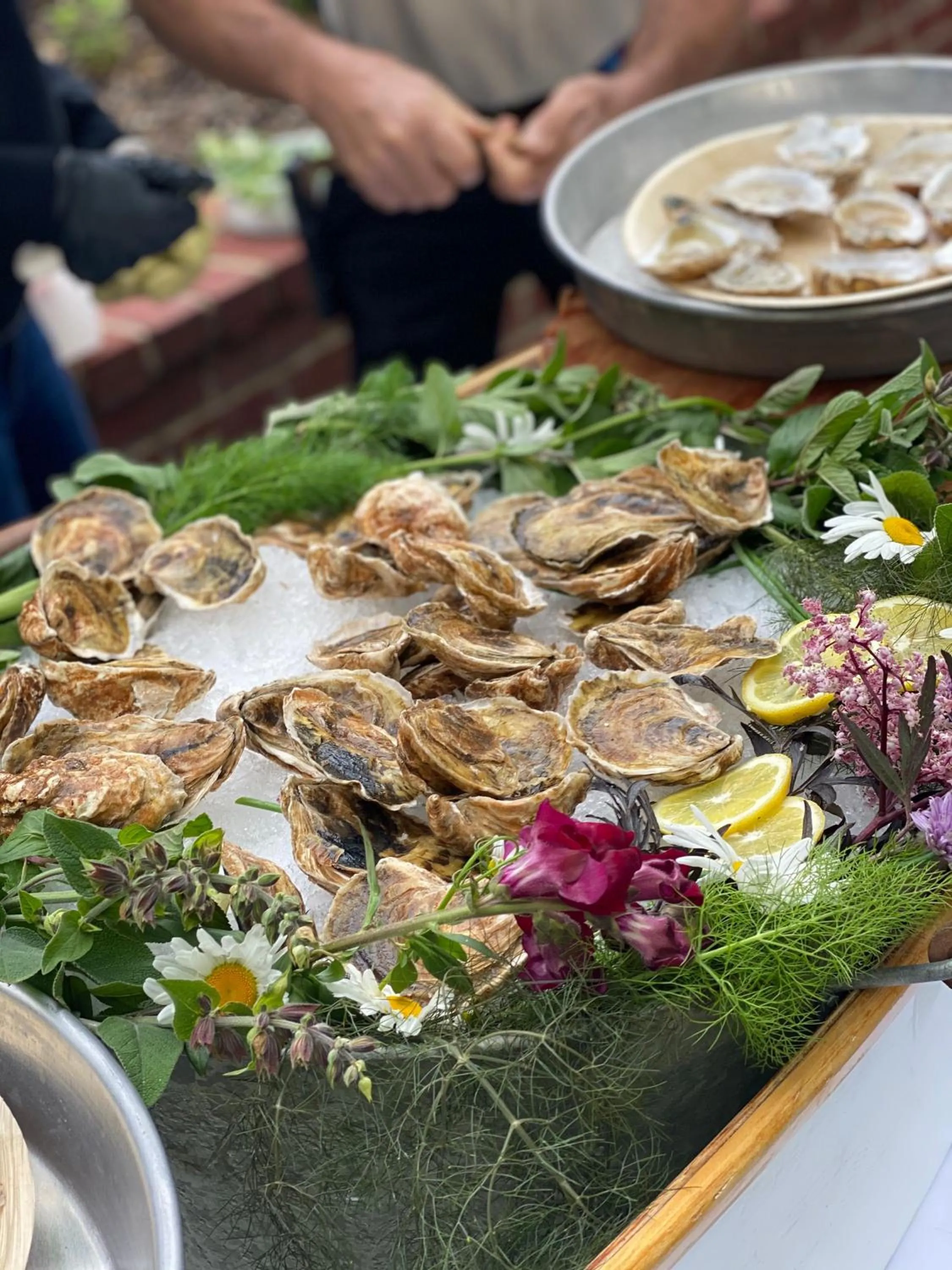 Food and drinks in Rams Head Inn