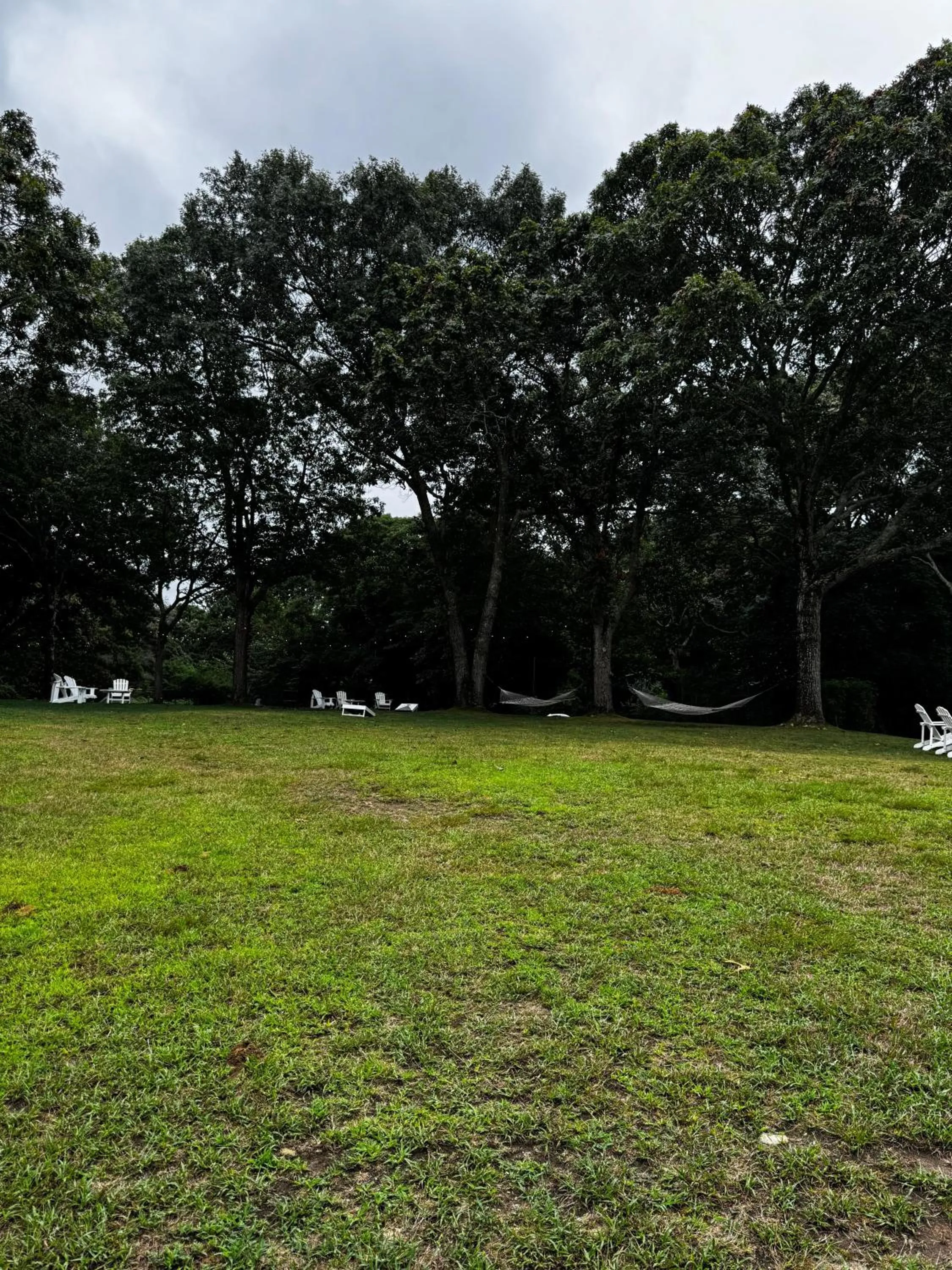 Natural landscape in Rams Head Inn