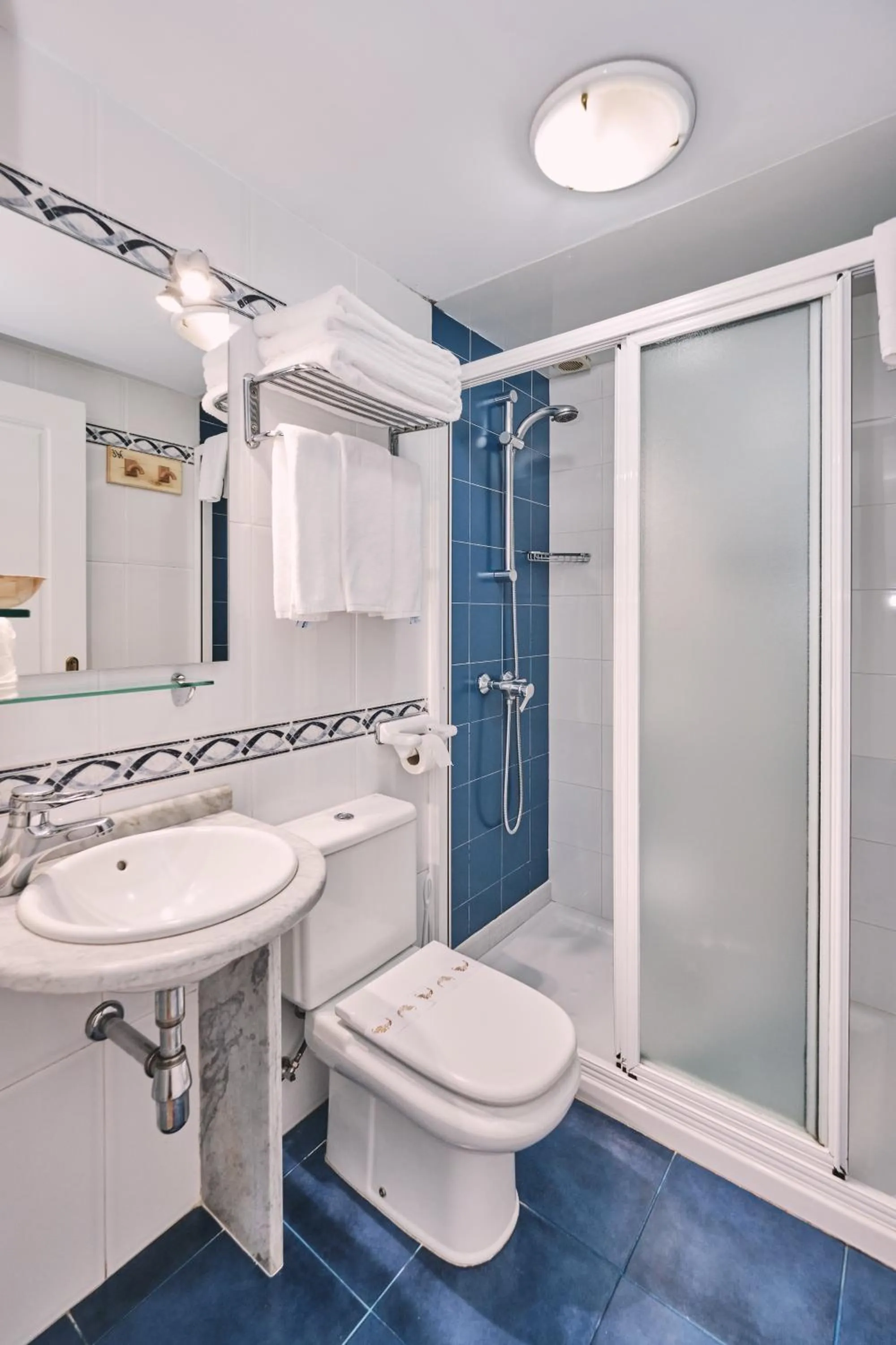 Shower in Hotel Entrecercas