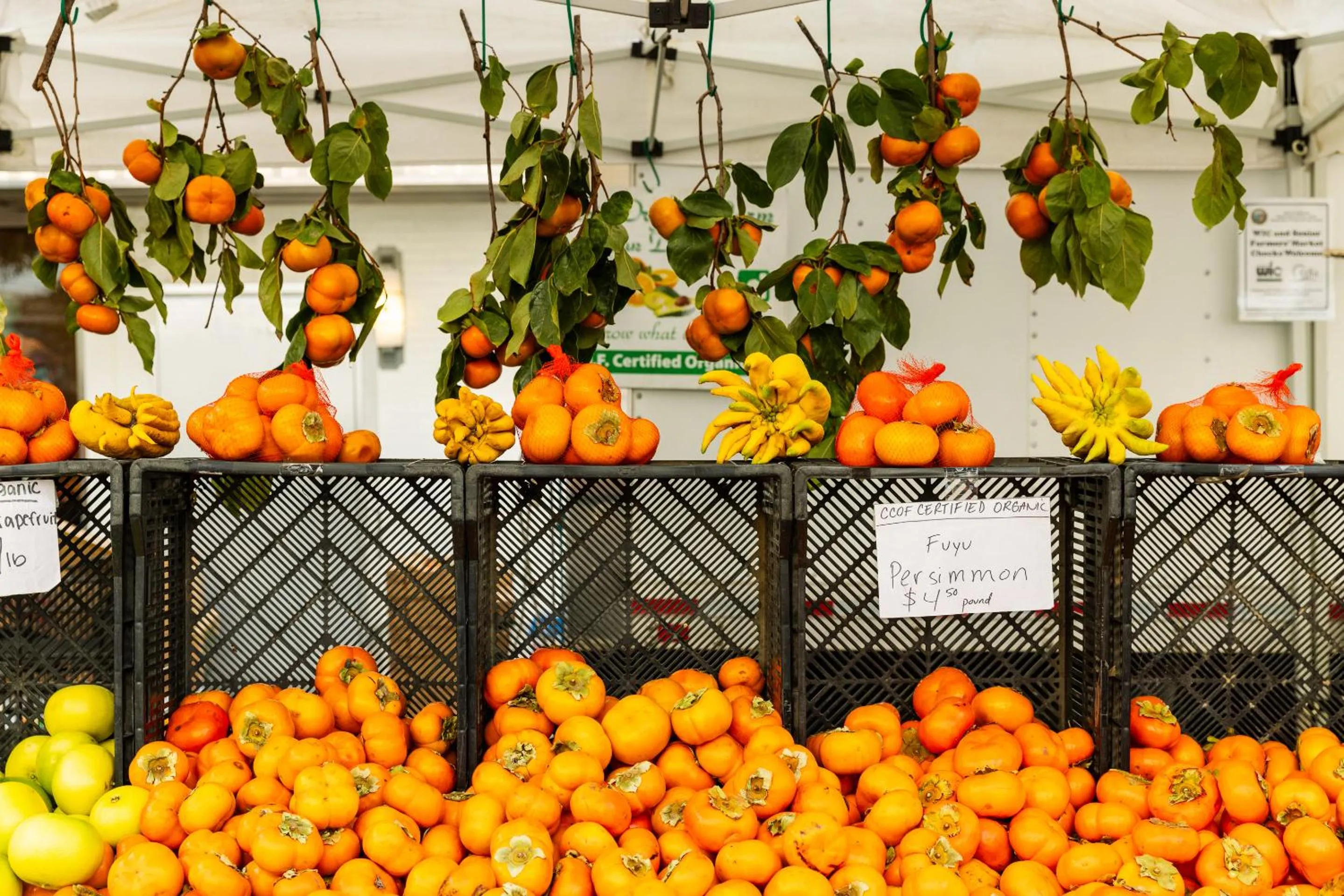 Neighbourhood in The Eden