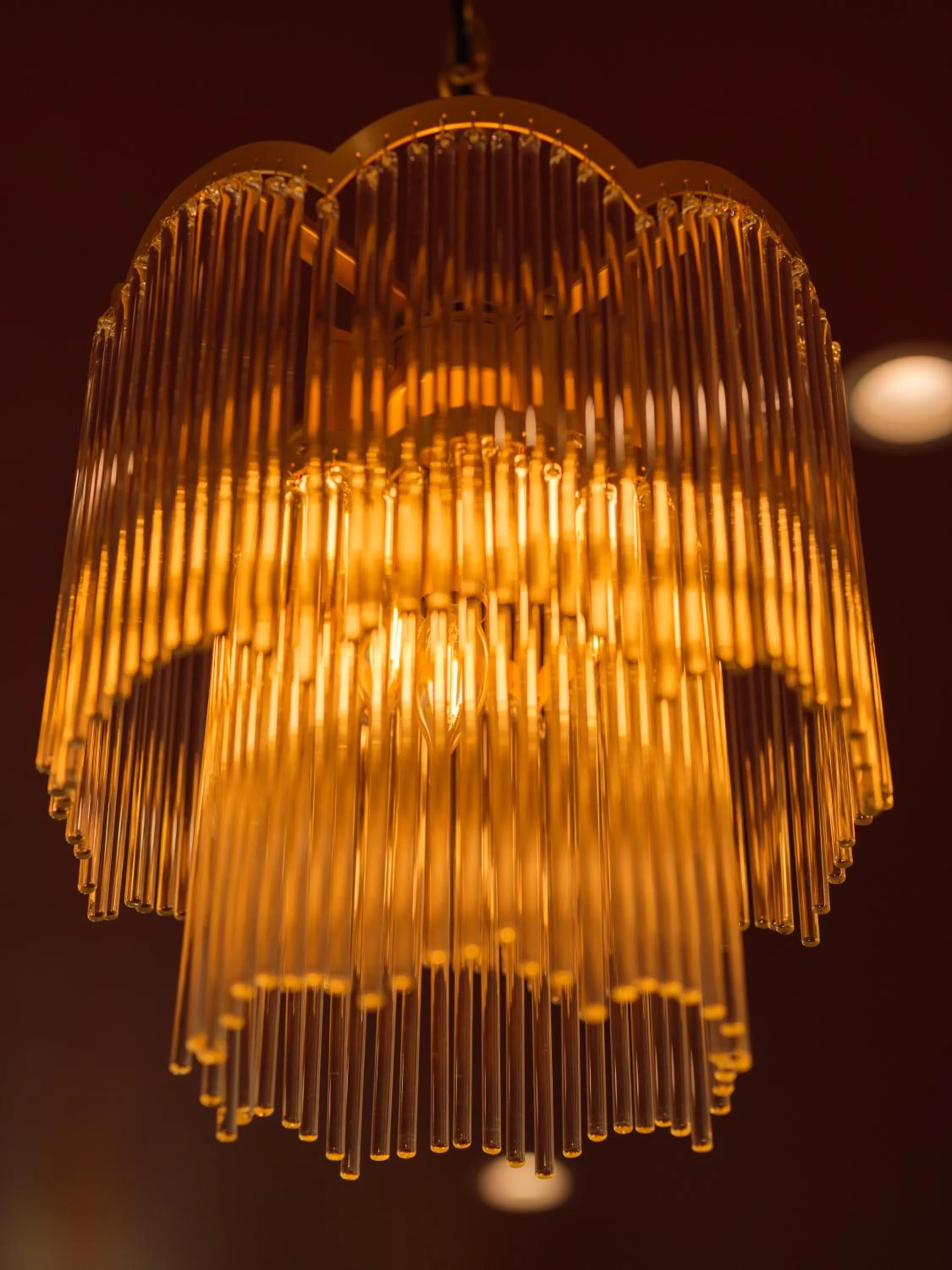 Lounge or bar in The Eden